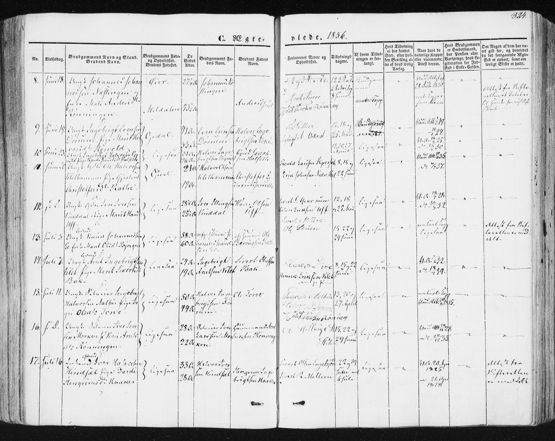 Ministerialprotokoller, klokkerbøker og fødselsregistre - Sør-Trøndelag, SAT/A-1456/678/L0899: Parish register (official) no. 678A08, 1848-1872, p. 324