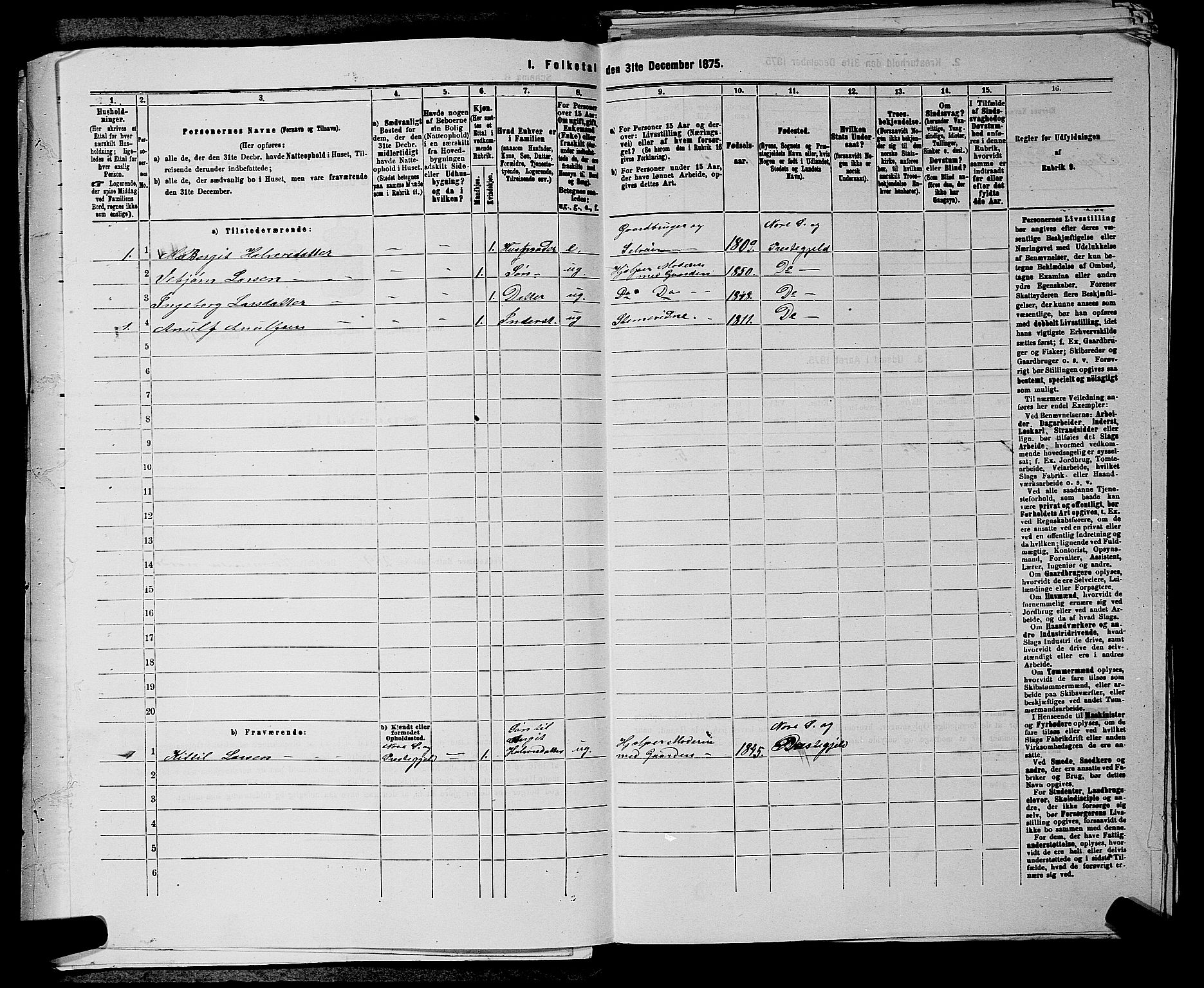 SAKO, 1875 census for 0633P Nore, 1875, p. 905