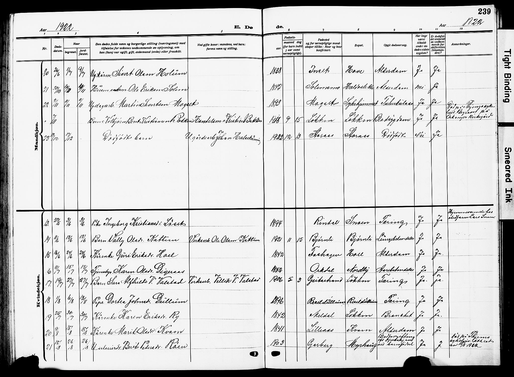 Ministerialprotokoller, klokkerbøker og fødselsregistre - Sør-Trøndelag, AV/SAT-A-1456/672/L0865: Parish register (copy) no. 672C04, 1914-1928, p. 239