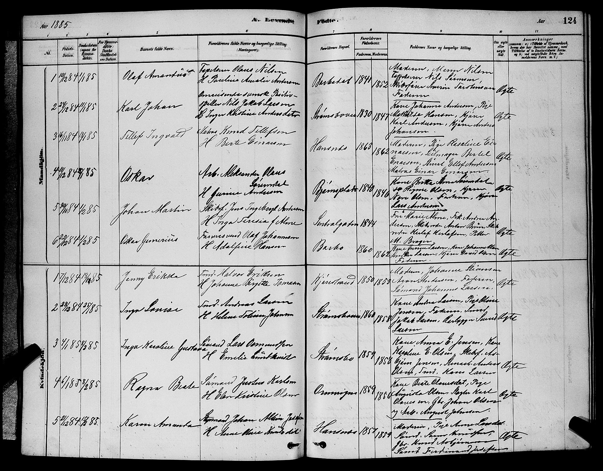 Barbu sokneprestkontor, AV/SAK-1111-0003/F/Fb/L0001: Parish register (copy) no. B 1, 1878-1890, p. 124