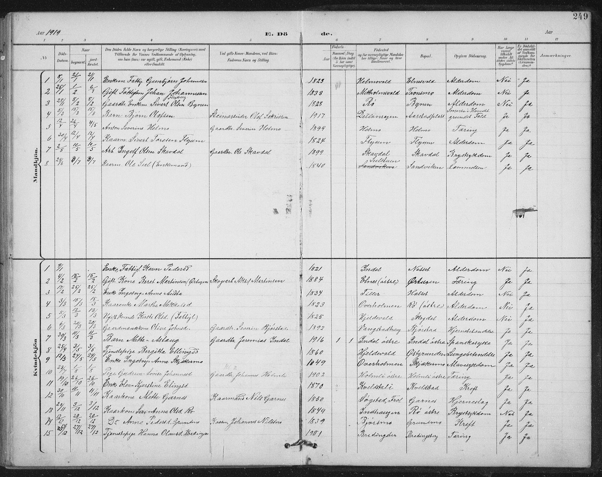 Ministerialprotokoller, klokkerbøker og fødselsregistre - Nord-Trøndelag, AV/SAT-A-1458/724/L0269: Parish register (copy) no. 724C05, 1899-1920, p. 249