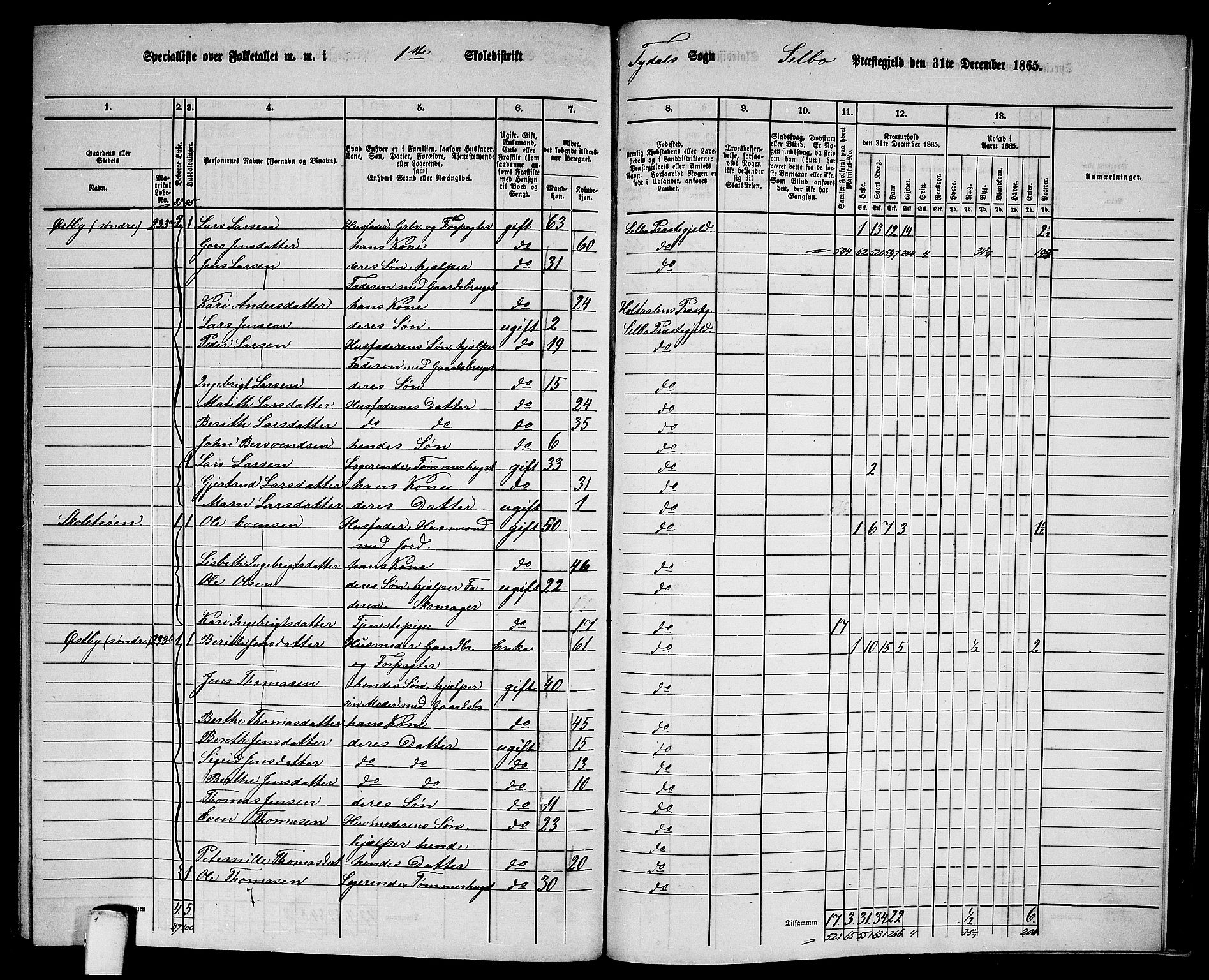 RA, 1865 census for Selbu, 1865, p. 241