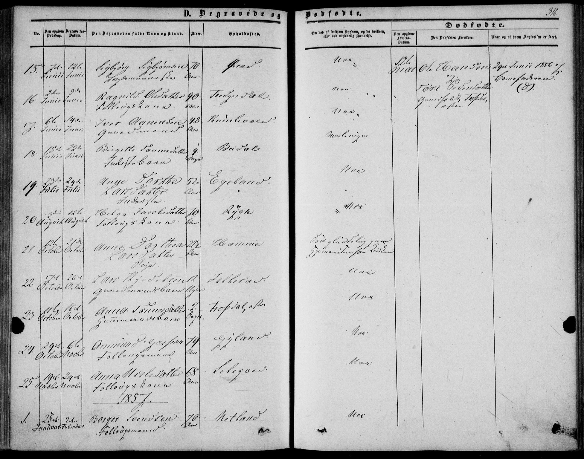 Bakke sokneprestkontor, SAK/1111-0002/F/Fa/Fab/L0002: Parish register (official) no. A 2, 1855-1884, p. 316