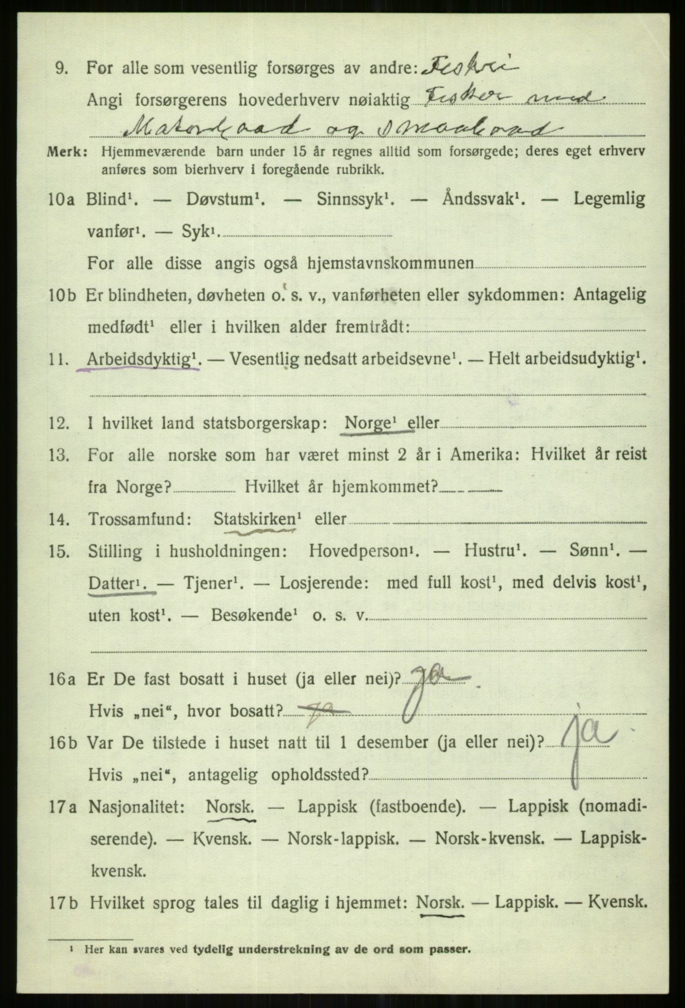 SATØ, 1920 census for Karlsøy, 1920, p. 3993