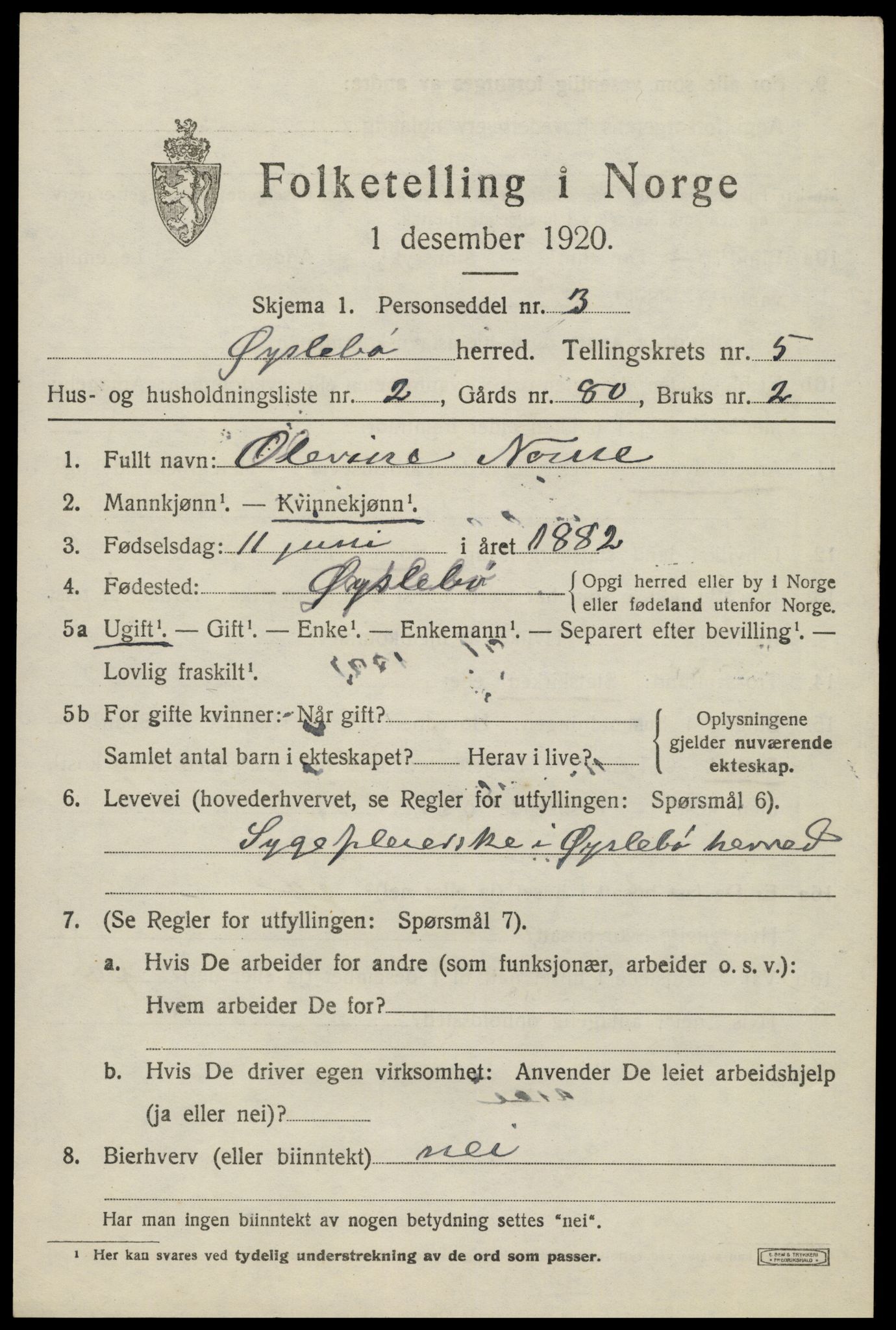 SAK, 1920 census for Øyslebø, 1920, p. 1300