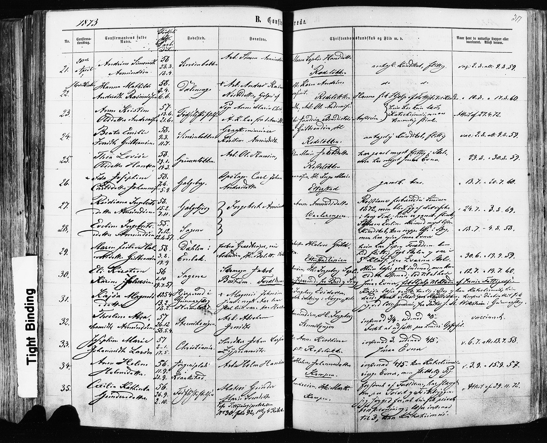 Østre Aker prestekontor Kirkebøker, AV/SAO-A-10840/F/Fa/L0003: Parish register (official) no. I 3, 1869-1875, p. 317