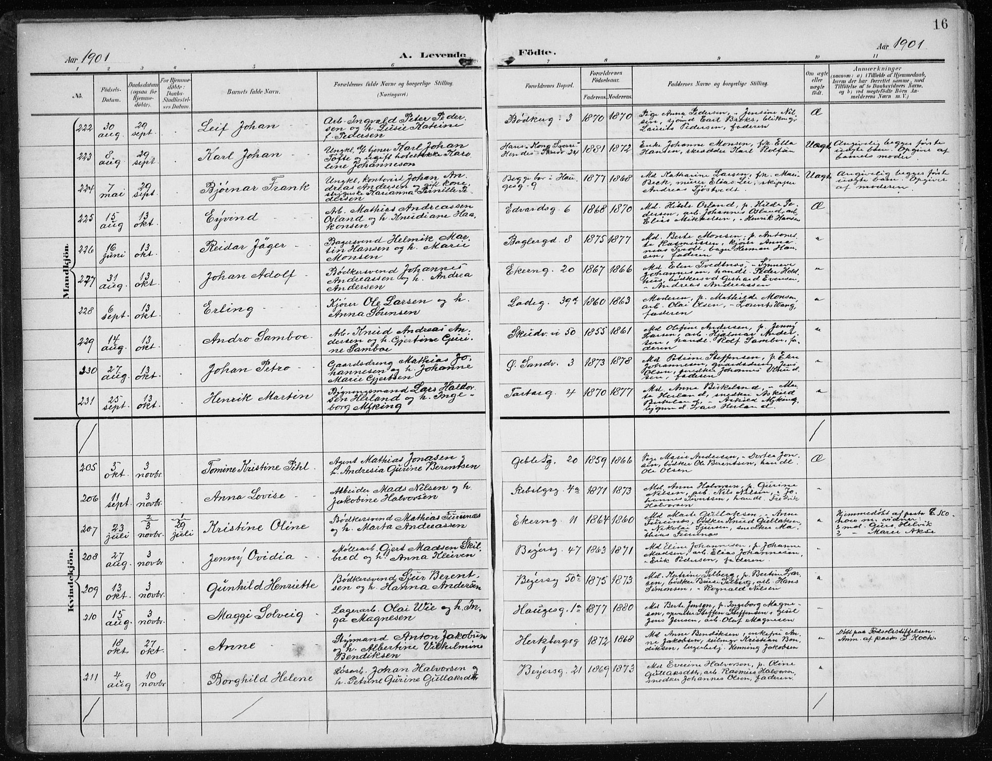 Sandviken Sokneprestembete, AV/SAB-A-77601/H/Ha/L0006: Parish register (official) no. B 3, 1901-1912, p. 16