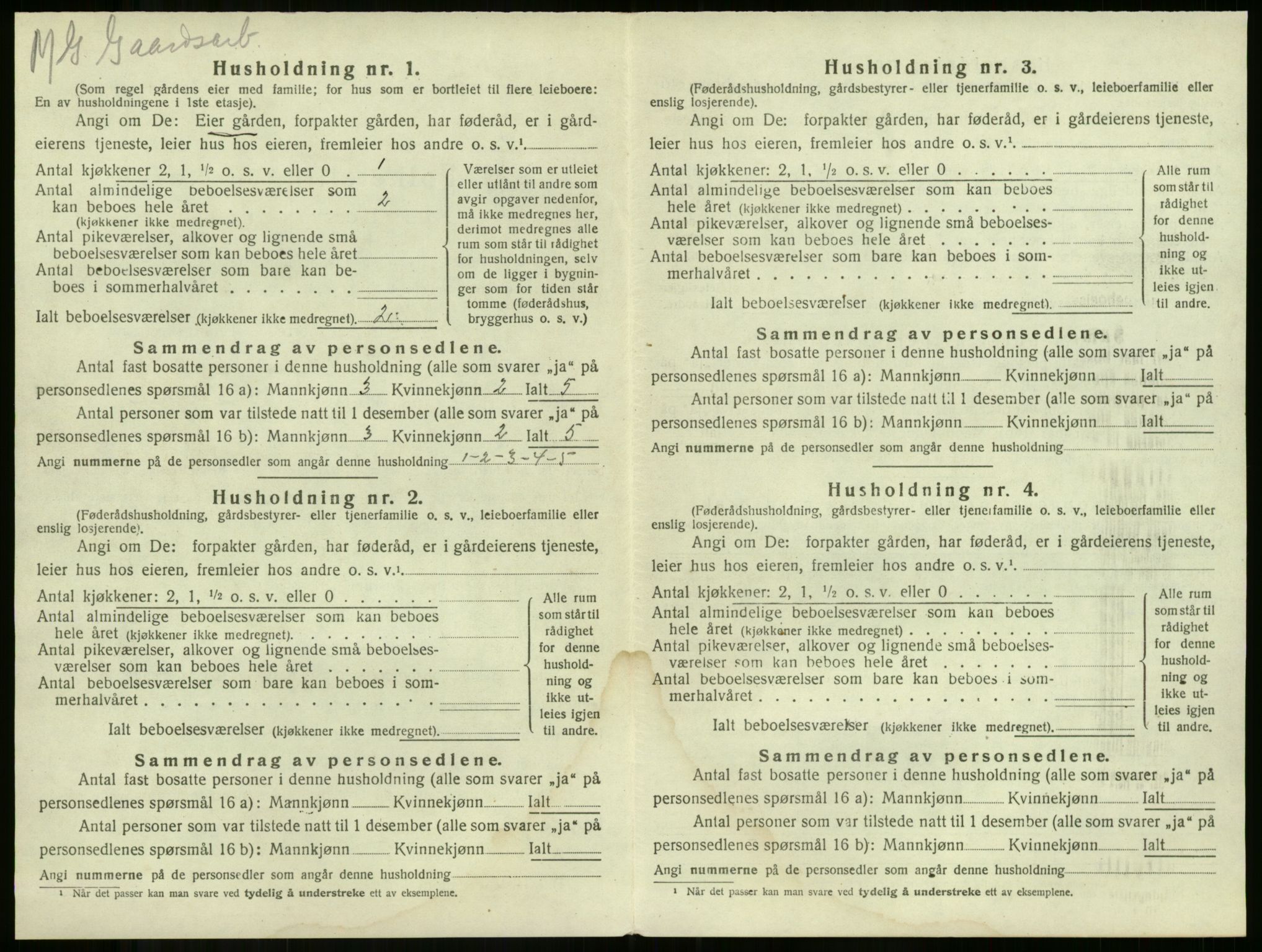 SAKO, 1920 census for Våle, 1920, p. 872