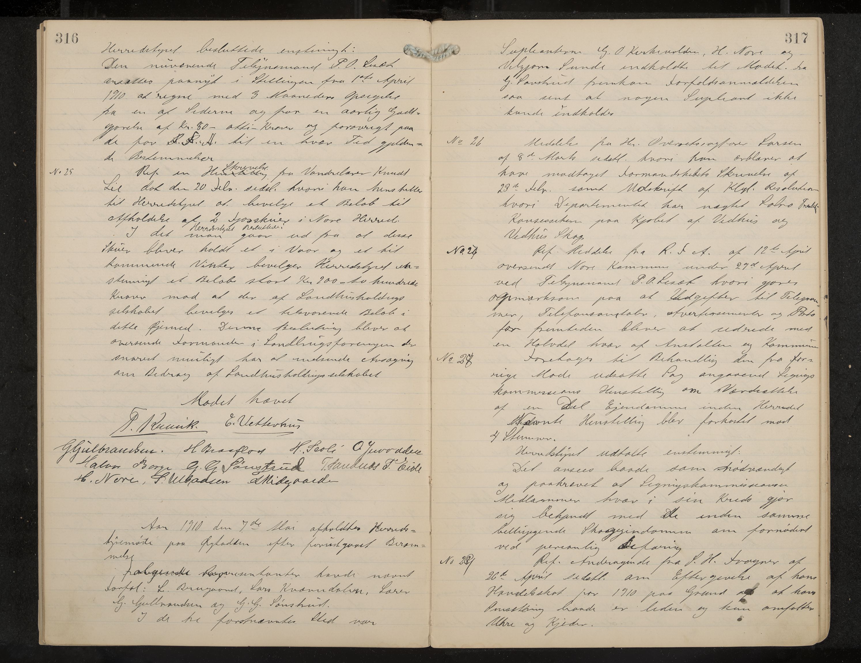 Nore formannskap og sentraladministrasjon, IKAK/0633021-2/A/Aa/L0001: Møtebok, 1901-1911, p. 316-317