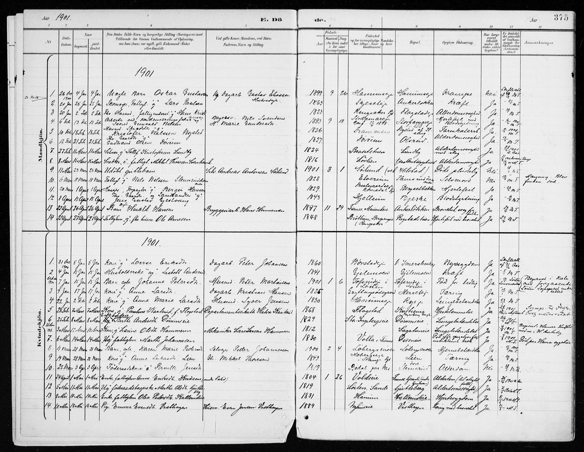 Vang prestekontor, Hedmark, SAH/PREST-008/H/Ha/Haa/L0021: Parish register (official) no. 21, 1902-1917, p. 375