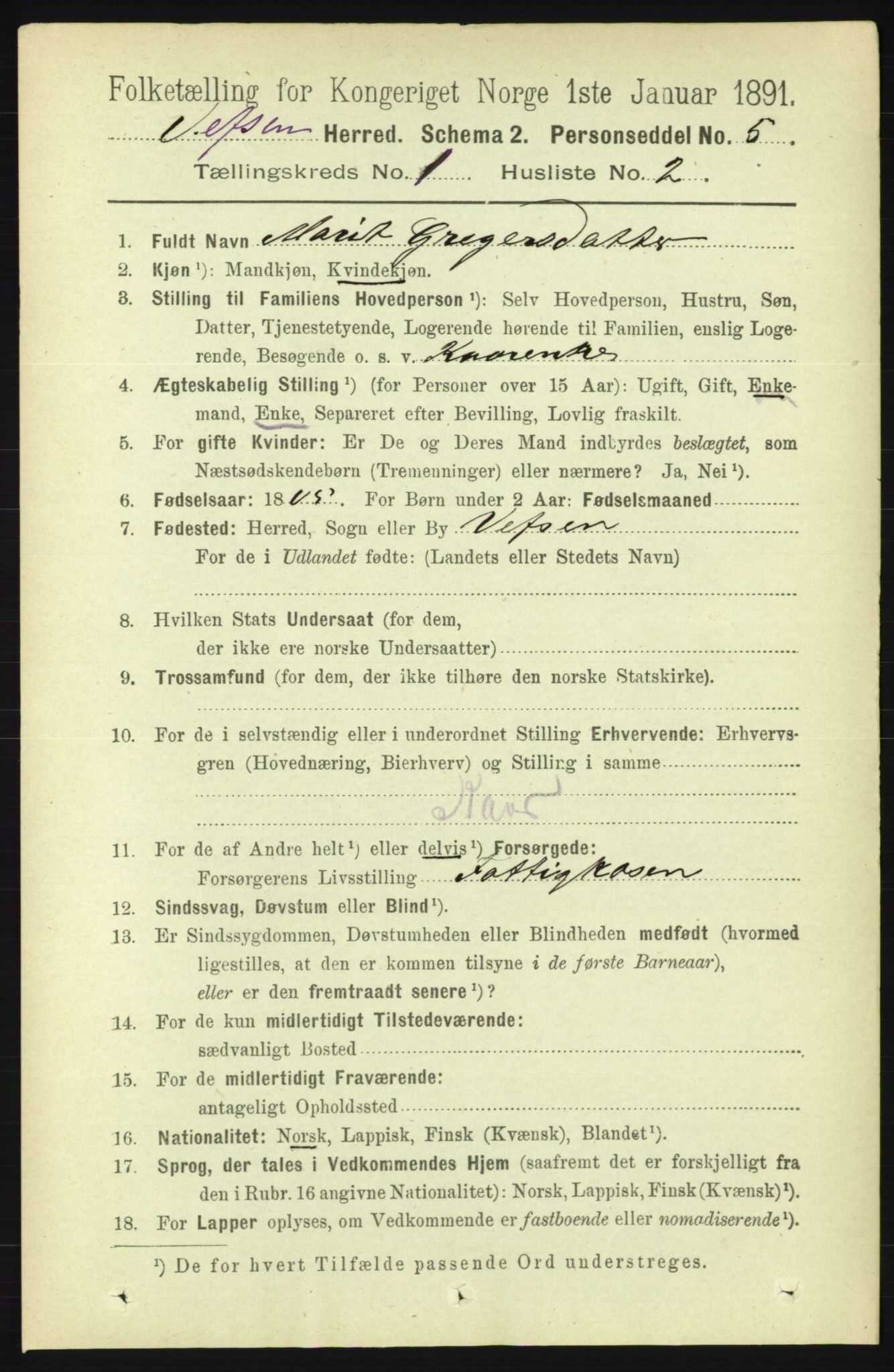 RA, 1891 census for 1824 Vefsn, 1891, p. 105