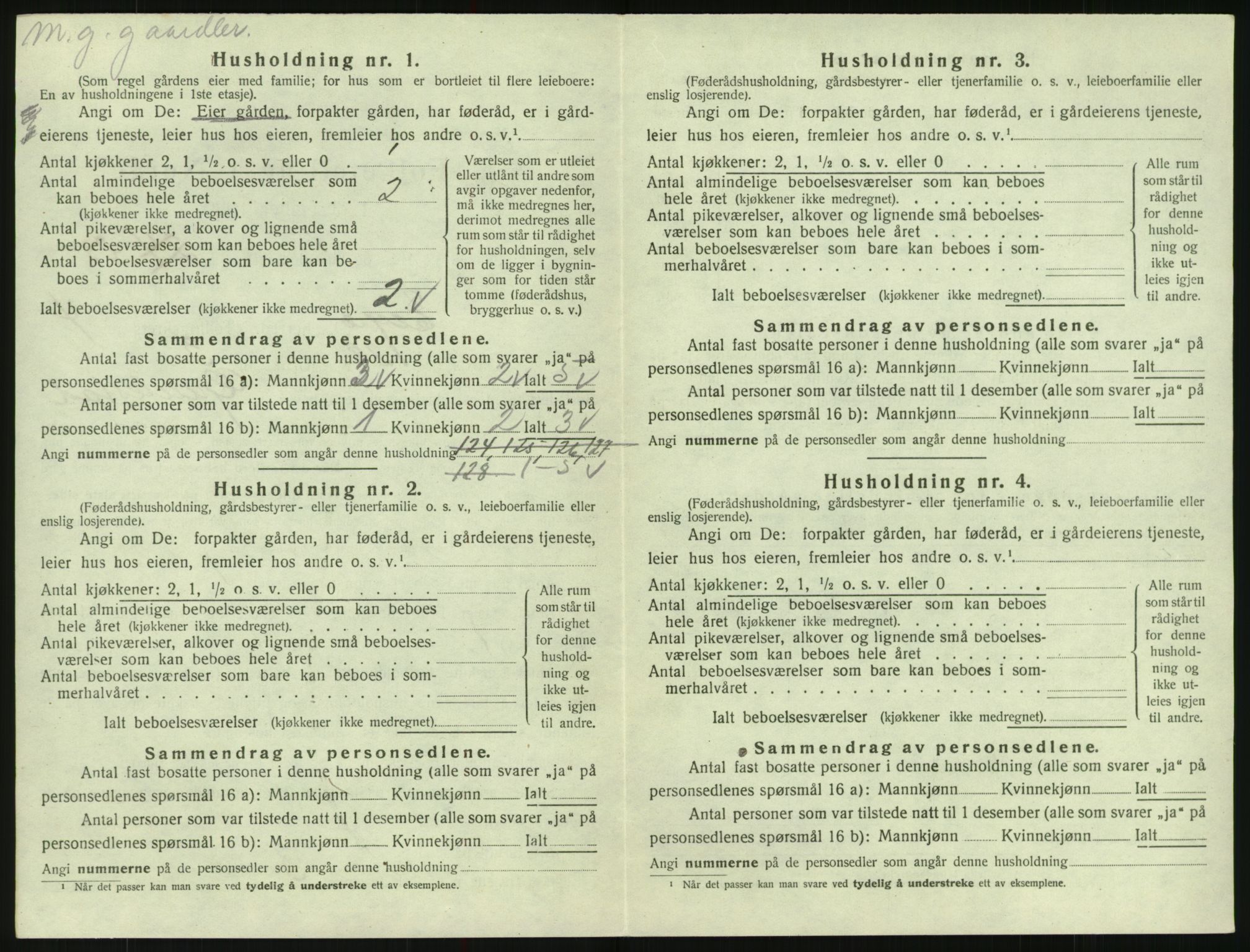 SAK, 1920 census for Evje, 1920, p. 207