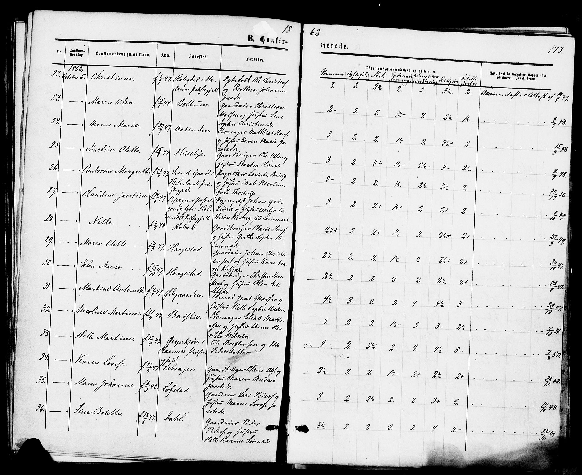 Våle kirkebøker, AV/SAKO-A-334/F/Fa/L0010: Parish register (official) no. I 10, 1861-1877, p. 173