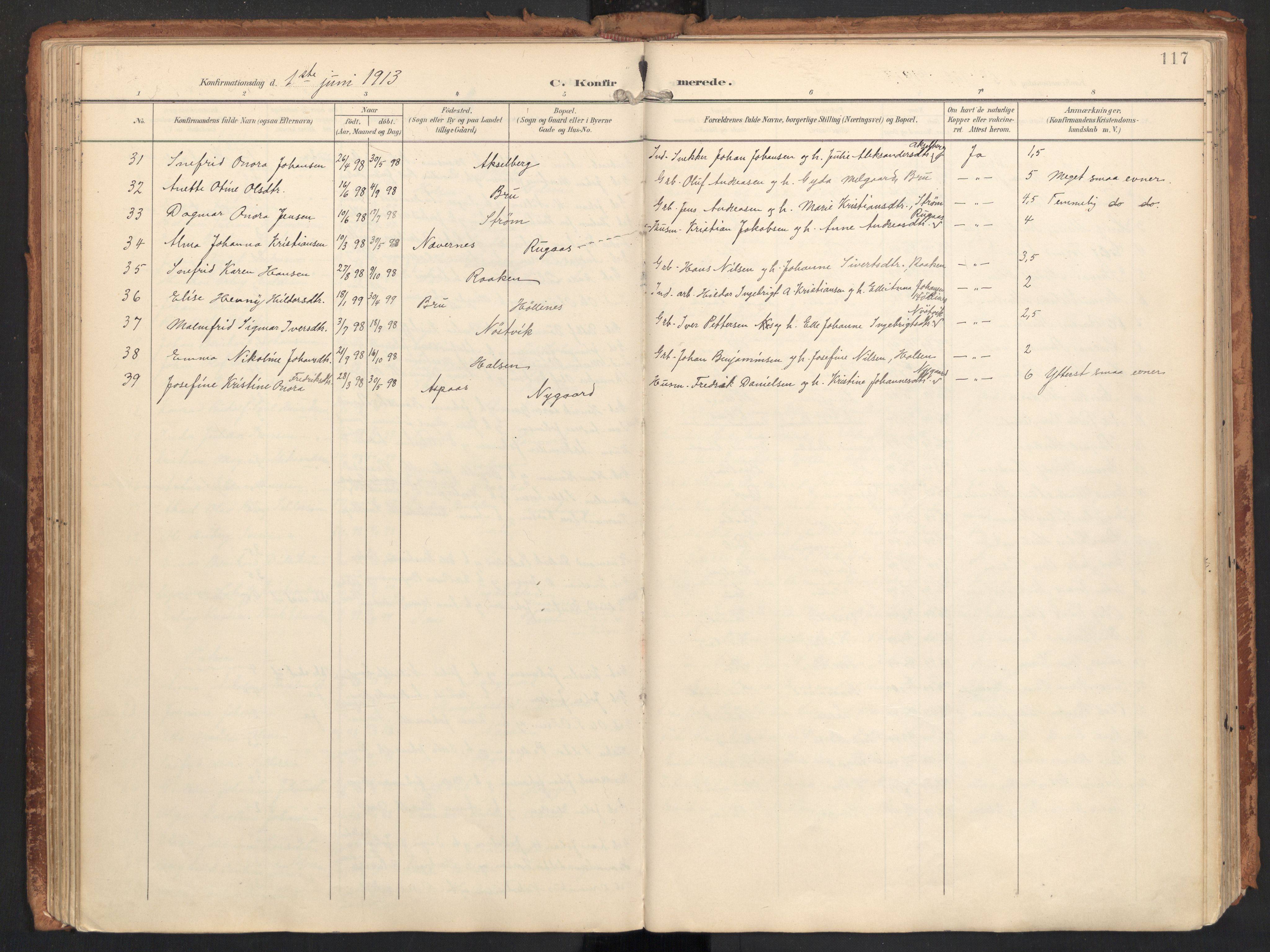 Ministerialprotokoller, klokkerbøker og fødselsregistre - Nordland, AV/SAT-A-1459/814/L0227: Parish register (official) no. 814A08, 1899-1920, p. 117