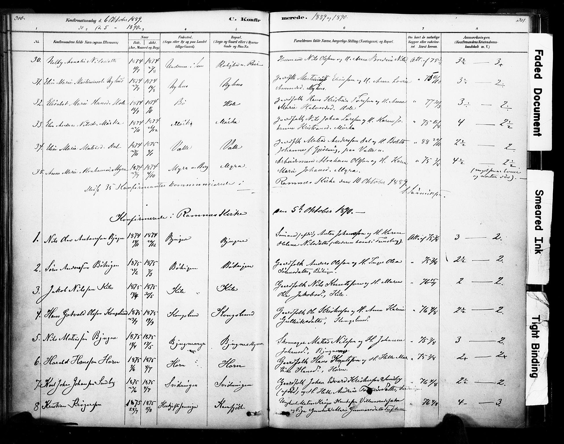 Ramnes kirkebøker, AV/SAKO-A-314/F/Fa/L0007: Parish register (official) no. I 7, 1878-1895, p. 300-301