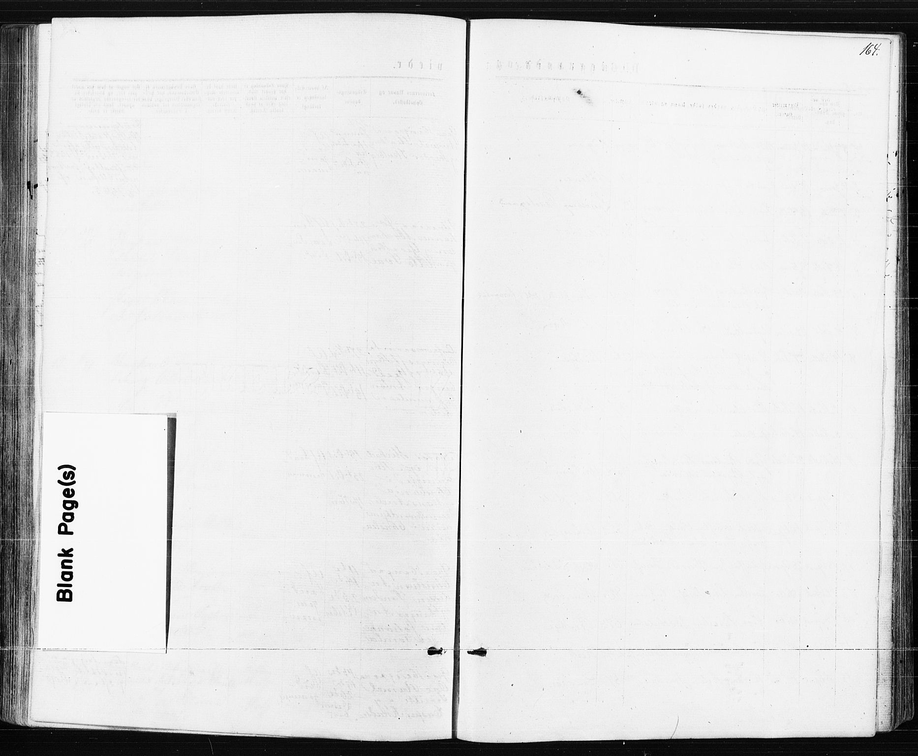 Spydeberg prestekontor Kirkebøker, AV/SAO-A-10924/F/Fa/L0007: Parish register (official) no. I 7, 1875-1885, p. 164