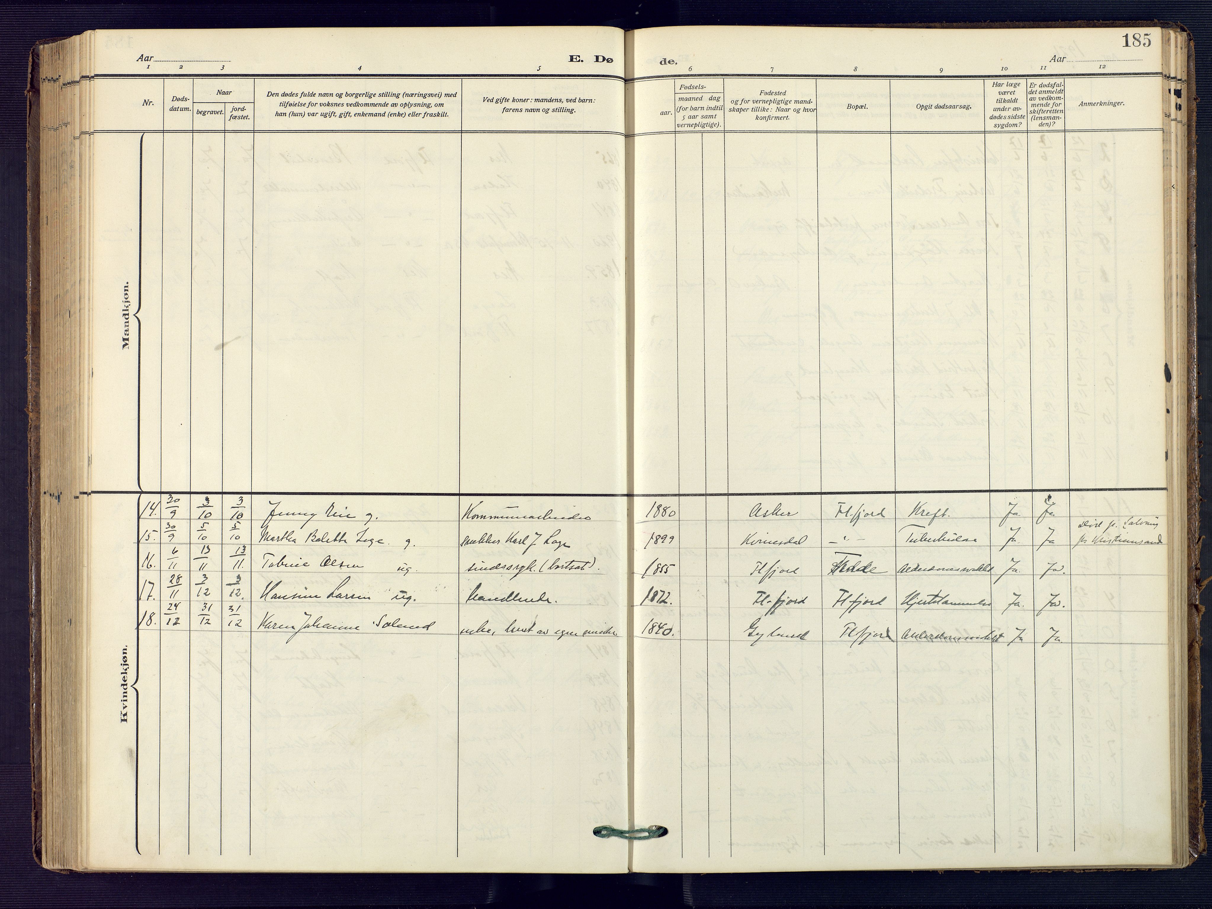 Flekkefjord sokneprestkontor, SAK/1111-0012/F/Fa/Faa/L0003: Parish register (official) no. A 3, 1913-1928, p. 185