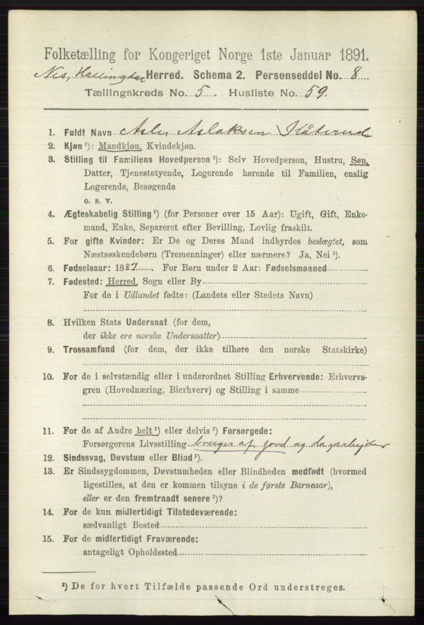 RA, 1891 census for 0616 Nes, 1891, p. 2939