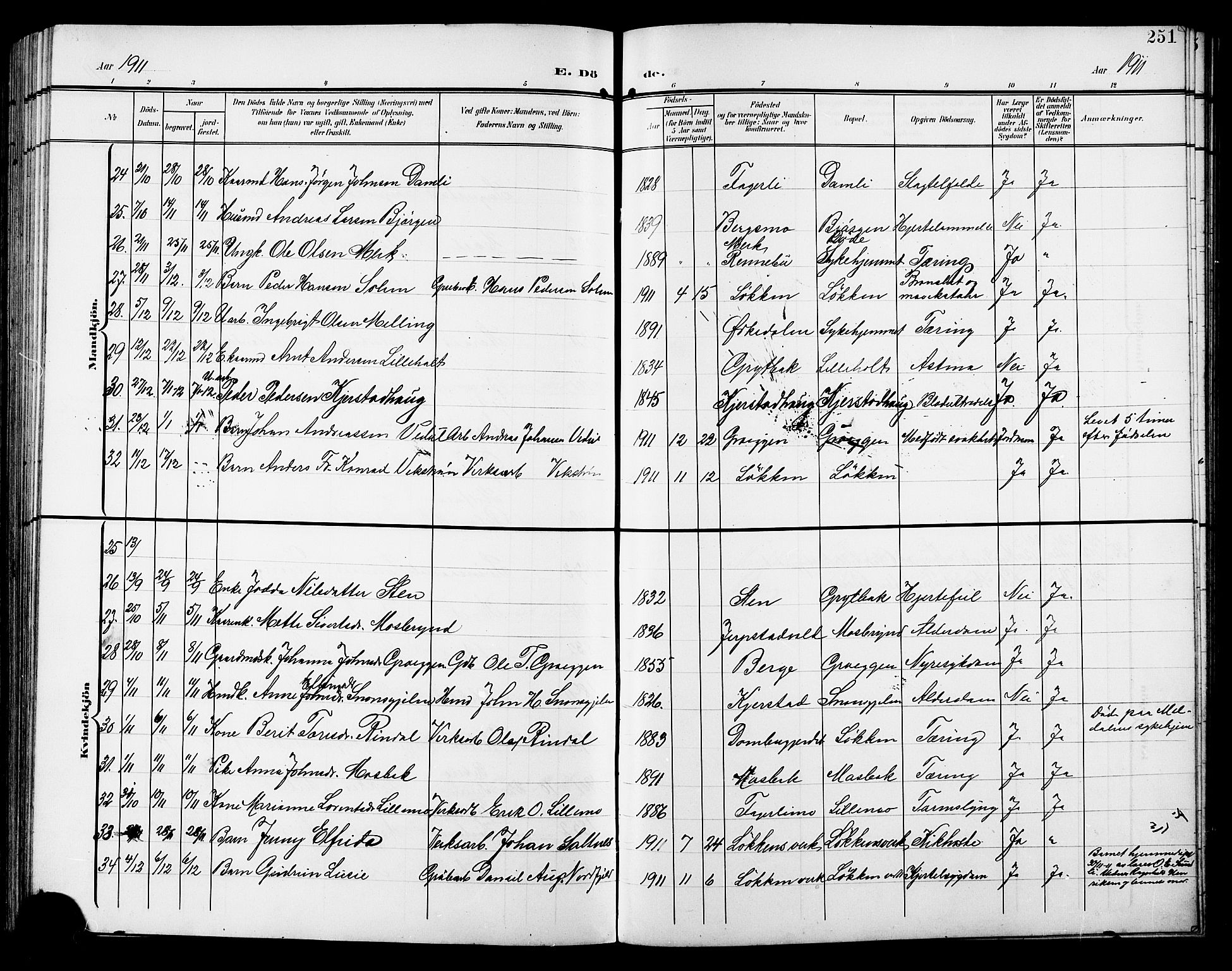 Ministerialprotokoller, klokkerbøker og fødselsregistre - Sør-Trøndelag, SAT/A-1456/672/L0864: Parish register (copy) no. 672C03, 1902-1914, p. 251