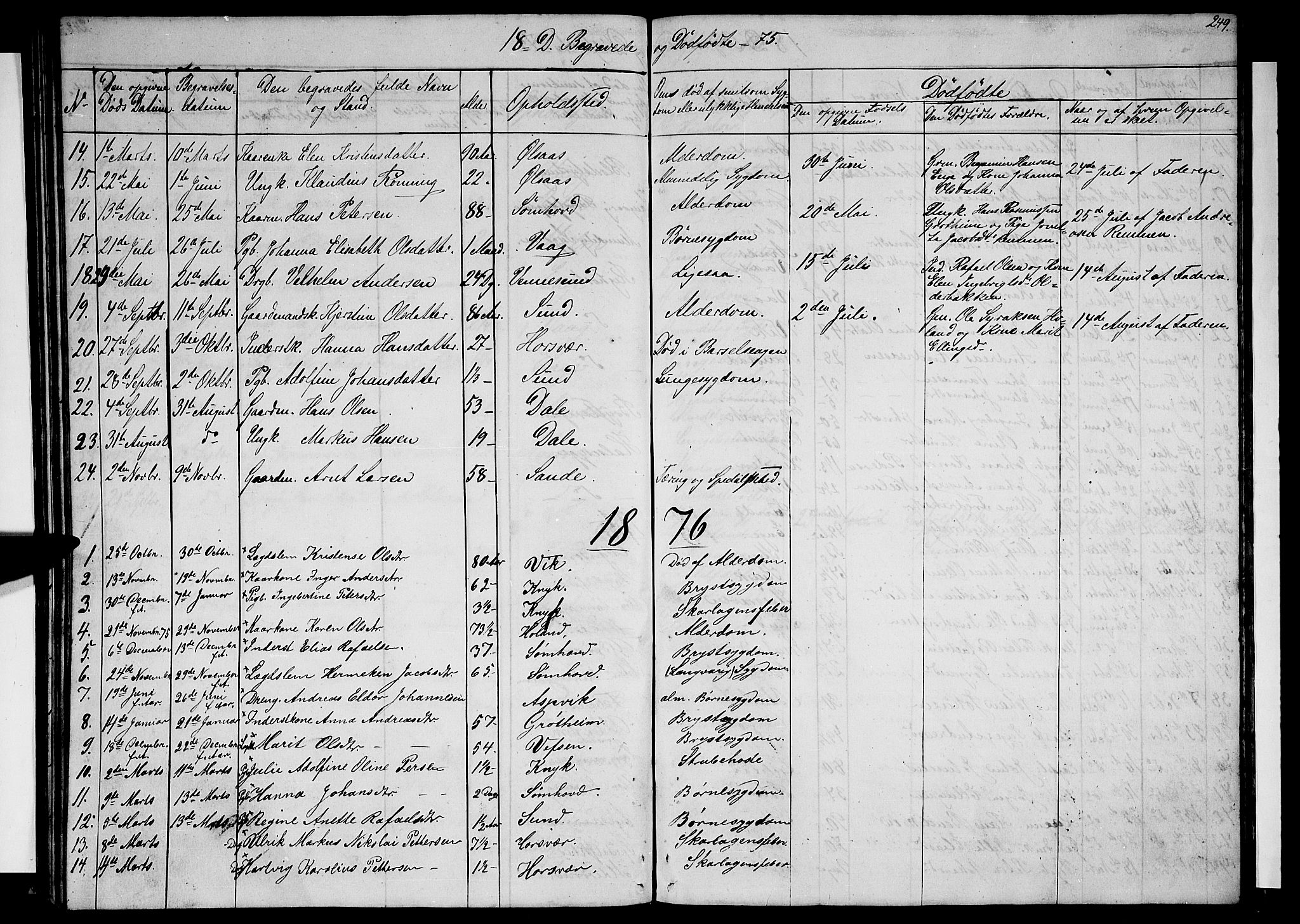 Ministerialprotokoller, klokkerbøker og fødselsregistre - Nordland, AV/SAT-A-1459/812/L0187: Parish register (copy) no. 812C05, 1850-1883, p. 249