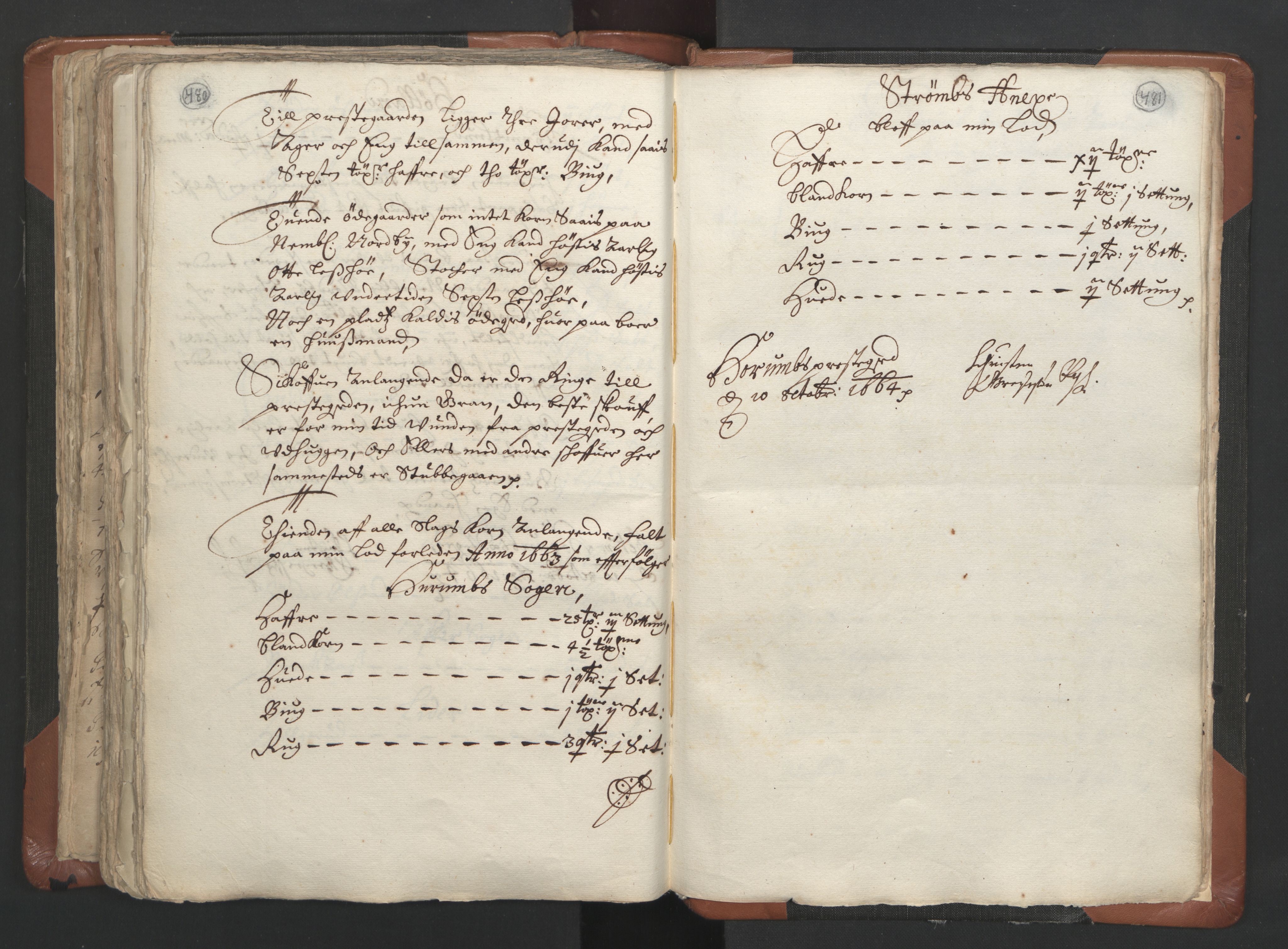 RA, Vicar's Census 1664-1666, no. 9: Bragernes deanery, 1664-1666, p. 480-481