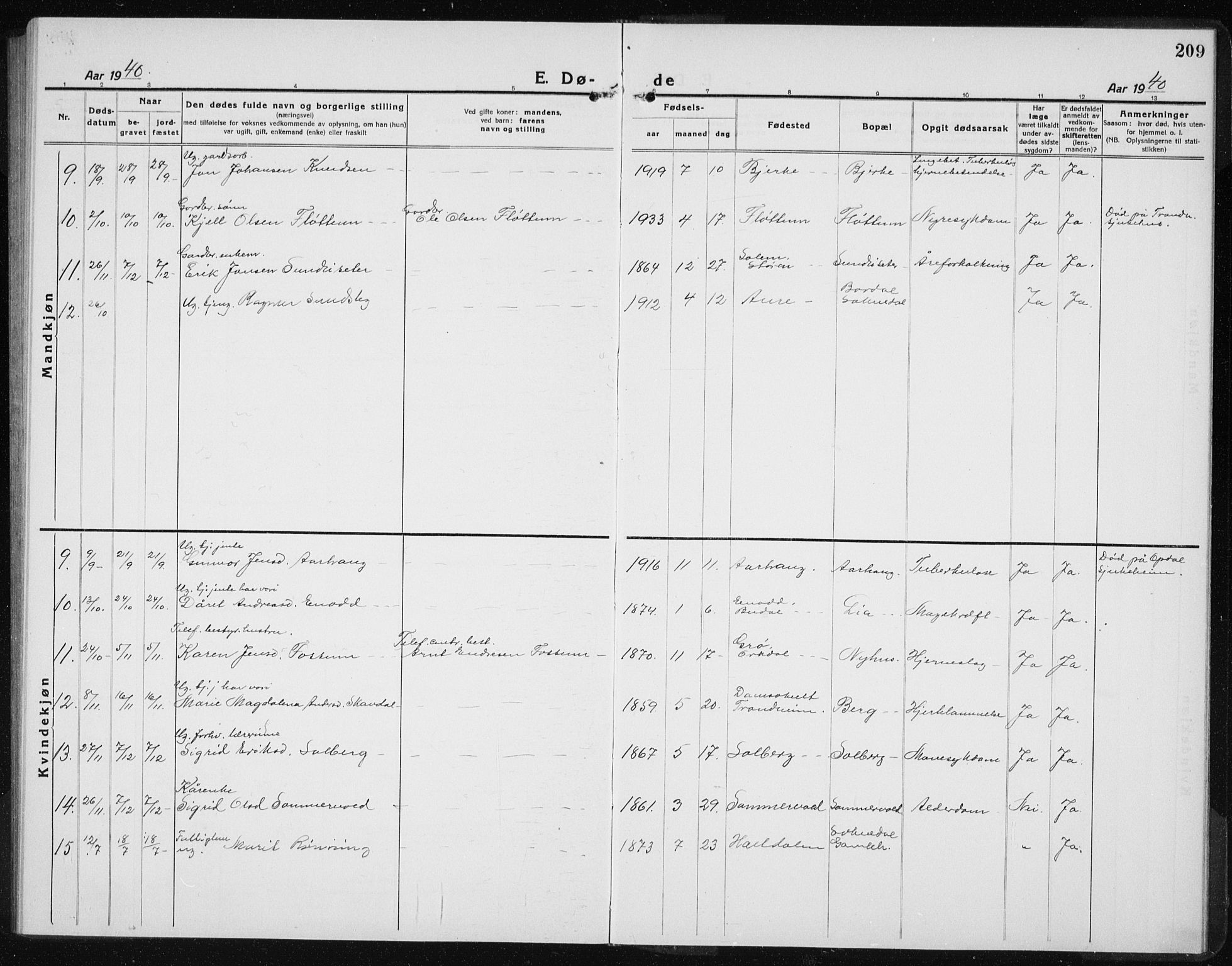 Ministerialprotokoller, klokkerbøker og fødselsregistre - Sør-Trøndelag, AV/SAT-A-1456/689/L1045: Parish register (copy) no. 689C04, 1923-1940, p. 209
