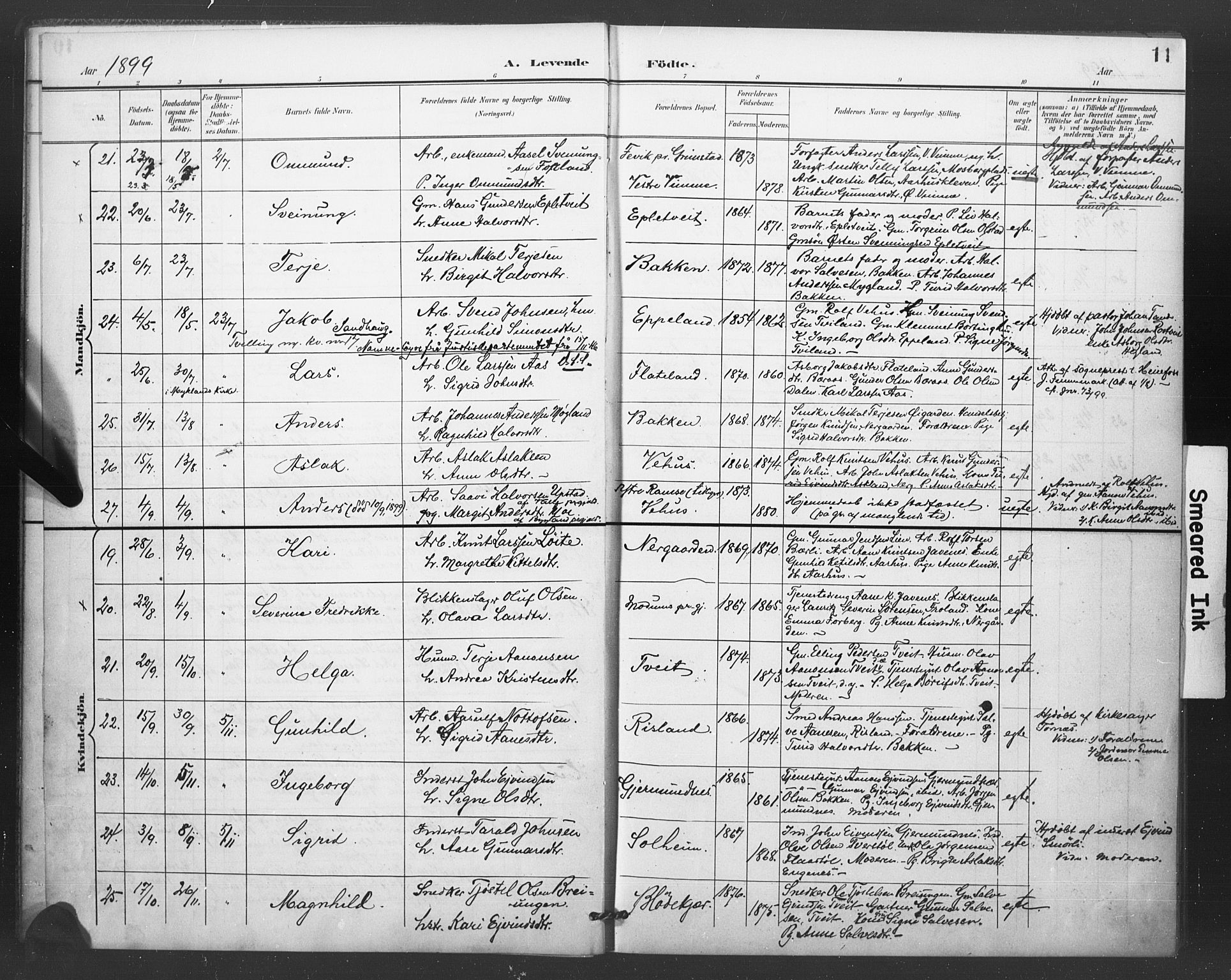 Åmli sokneprestkontor, SAK/1111-0050/F/Fa/Fac/L0011: Parish register (official) no. A 11, 1898-1899, p. 11