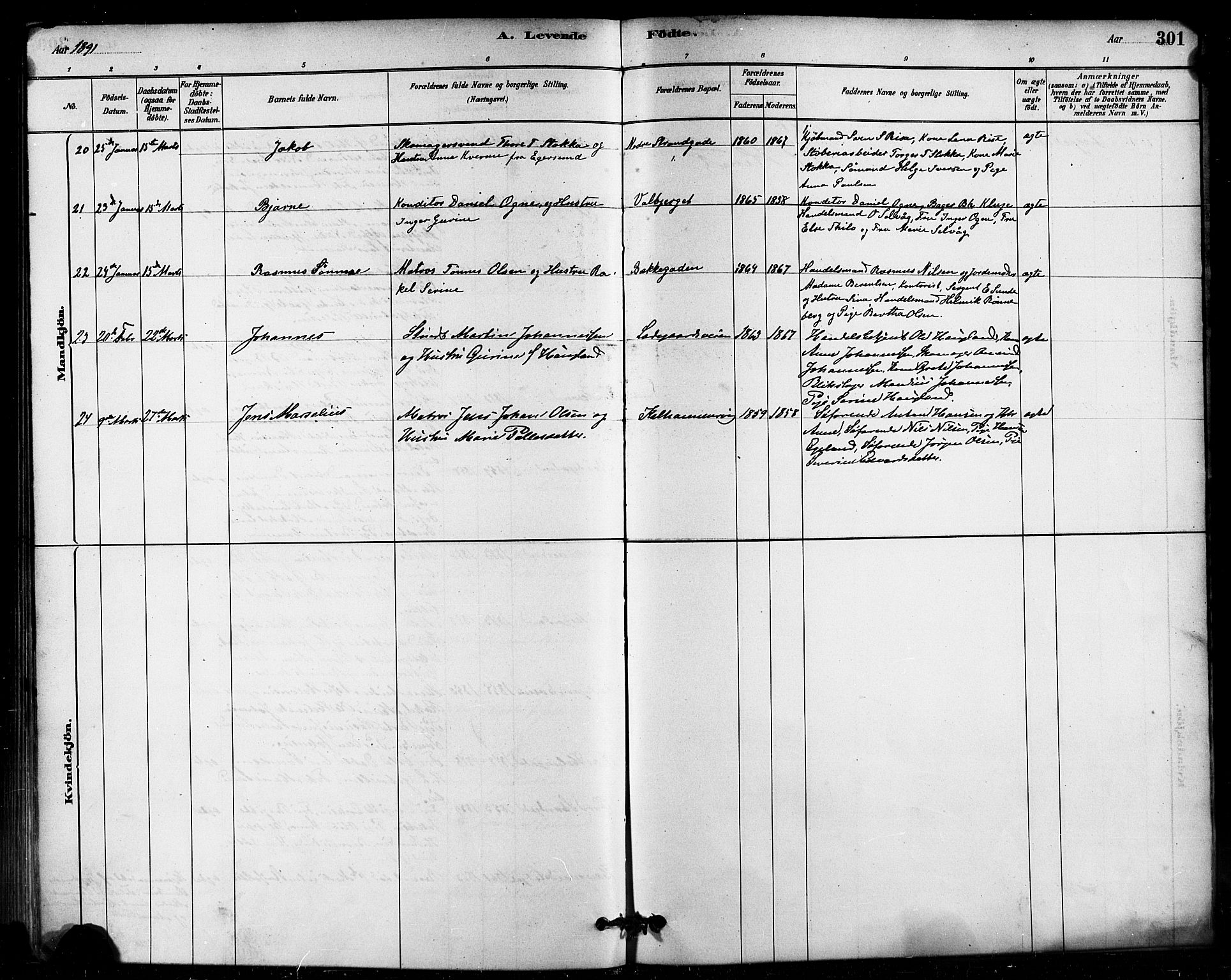 Domkirken sokneprestkontor, SAST/A-101812/001/30/30BB/L0015: Parish register (copy) no. B 15, 1880-1891, p. 301