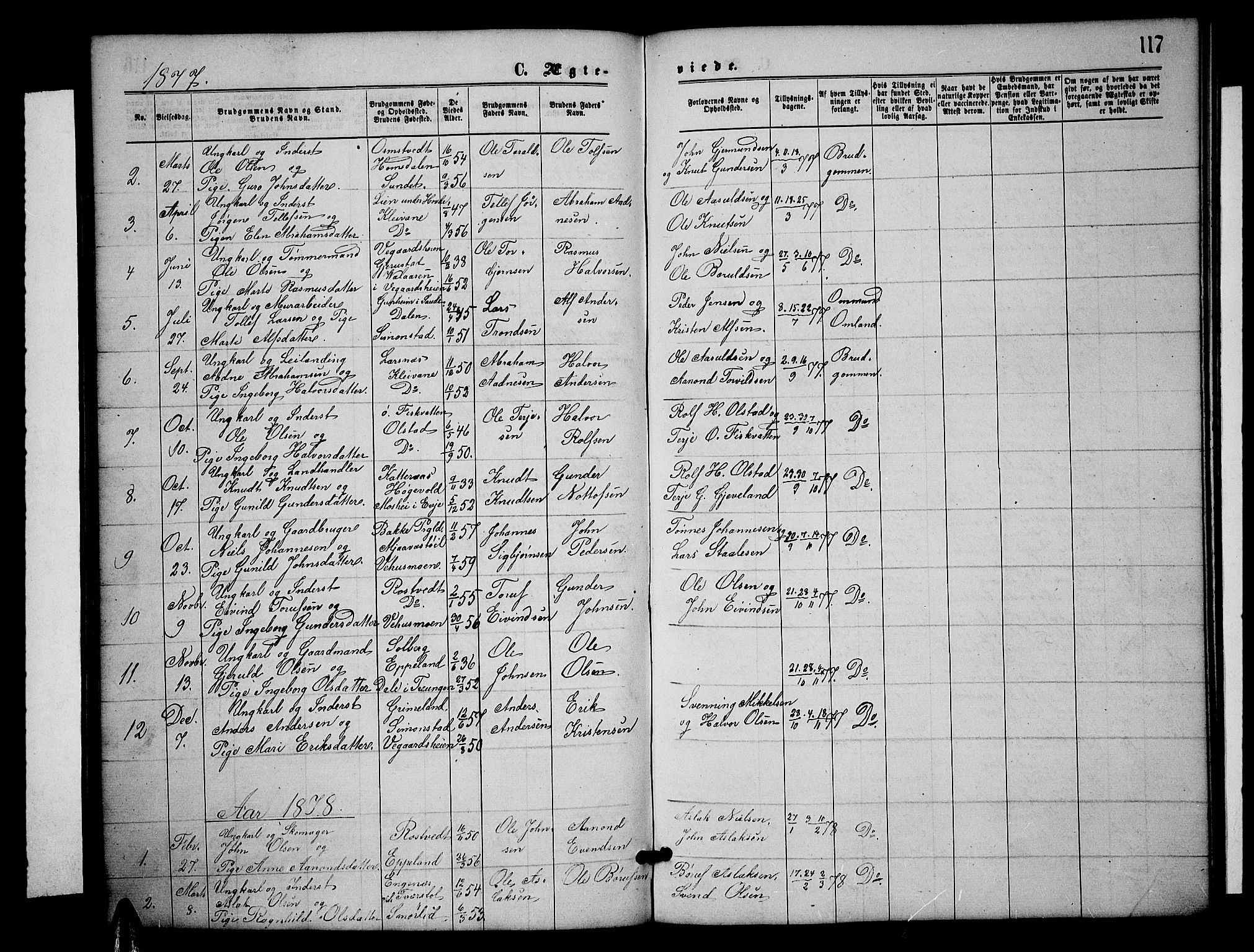 Åmli sokneprestkontor, SAK/1111-0050/F/Fb/Fbc/L0003: Parish register (copy) no. B 3, 1868-1888, p. 117