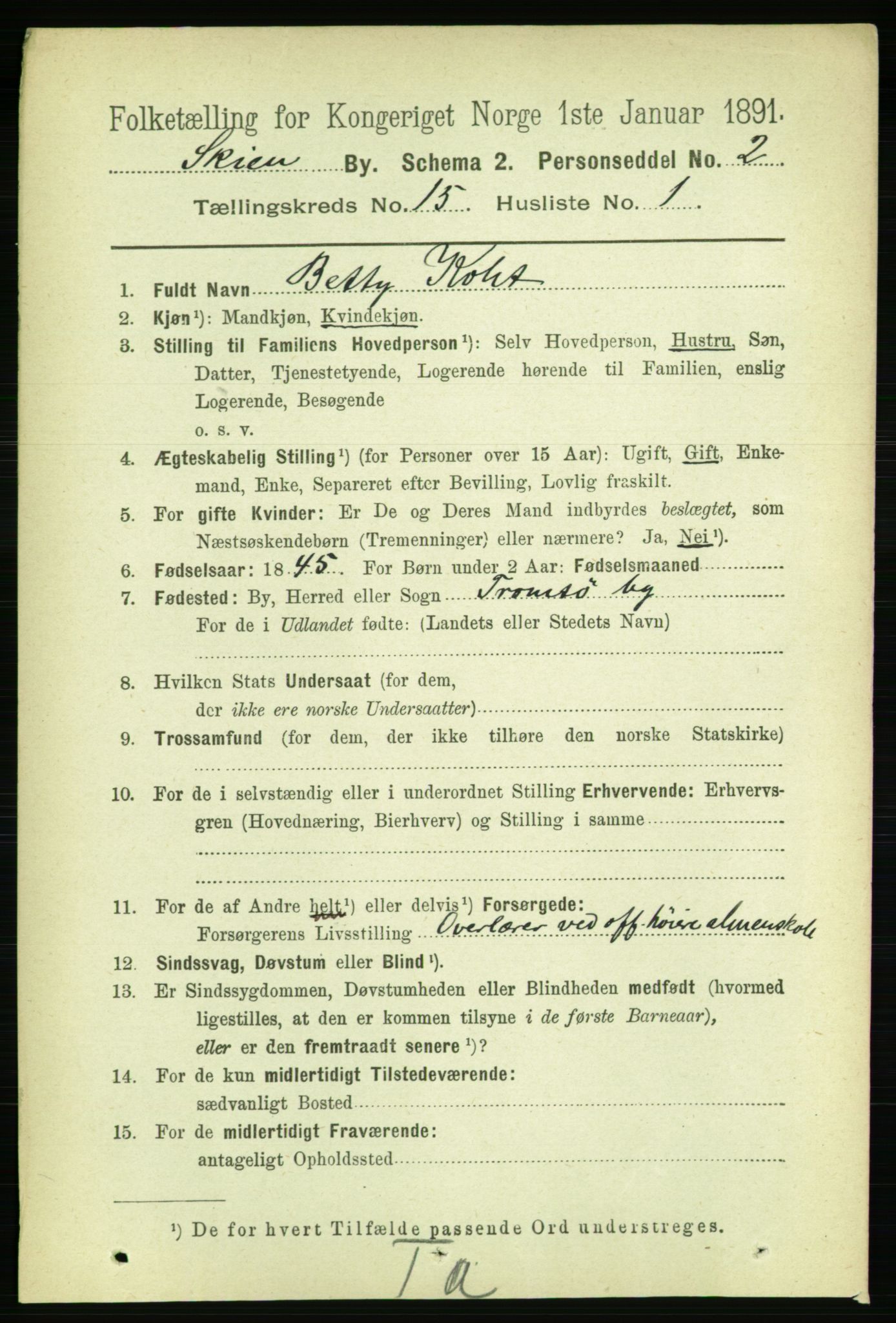 RA, 1891 census for 0806 Skien, 1891, p. 4416