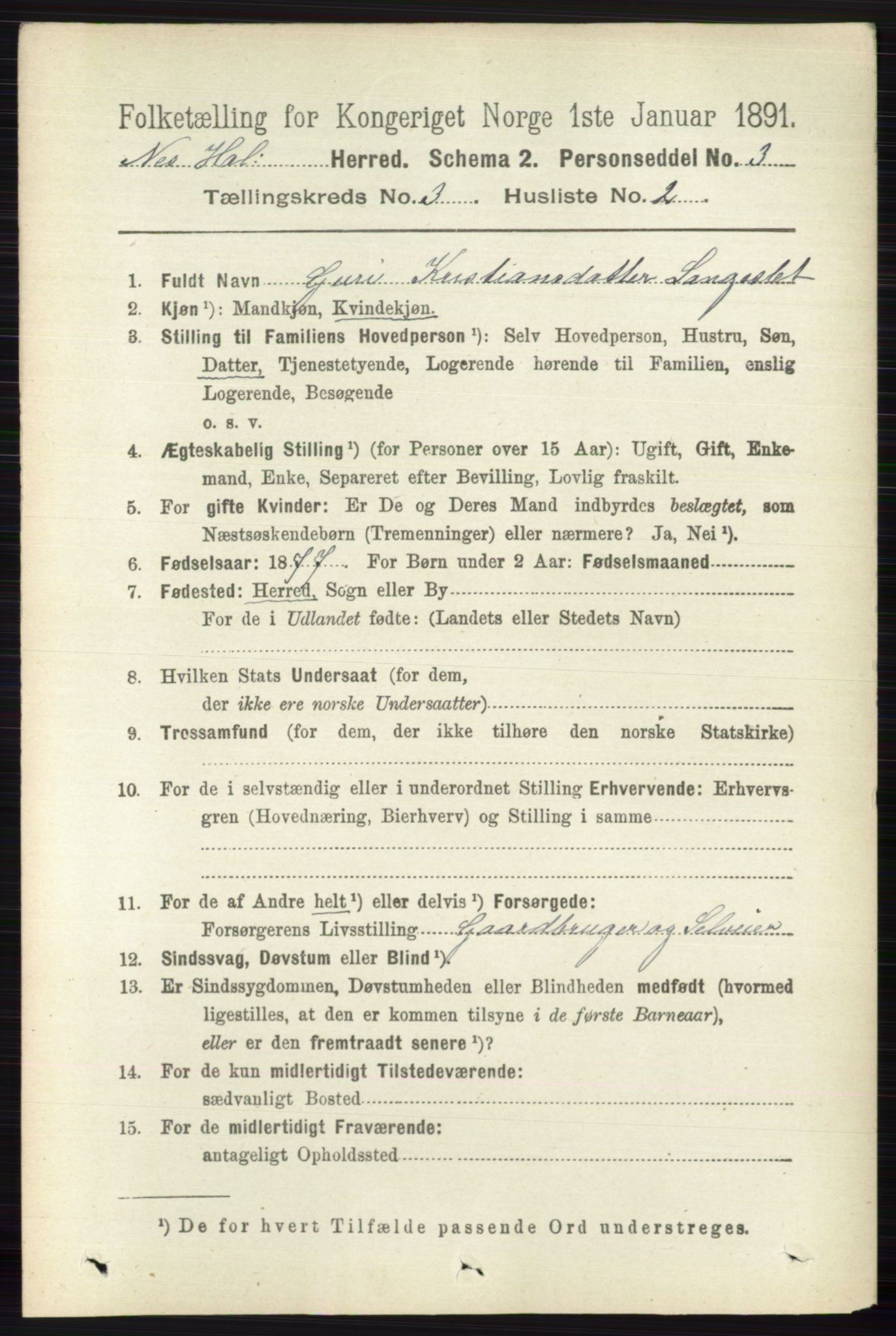 RA, 1891 census for 0616 Nes, 1891, p. 1521