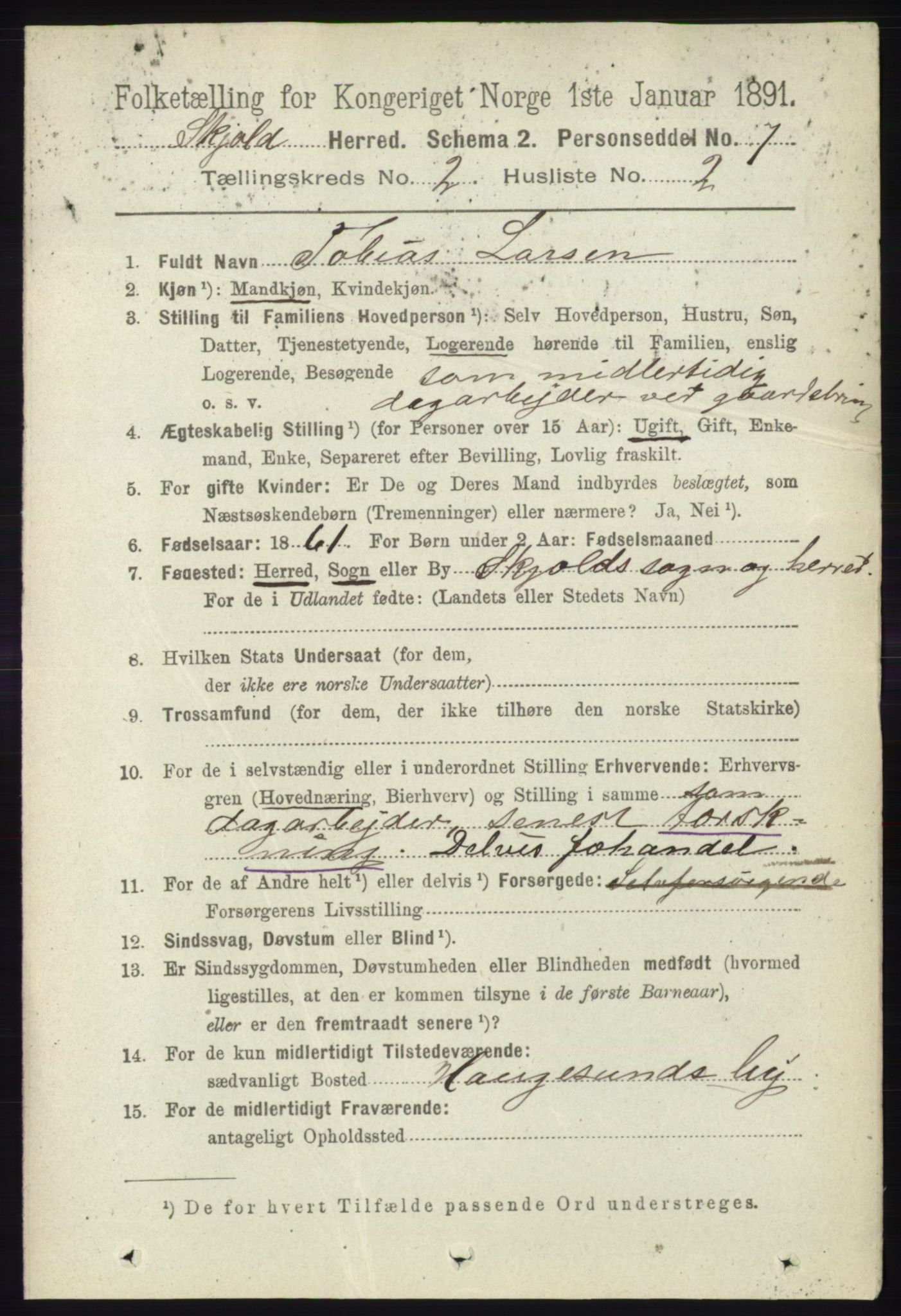 RA, 1891 census for 1154 Skjold, 1891, p. 293