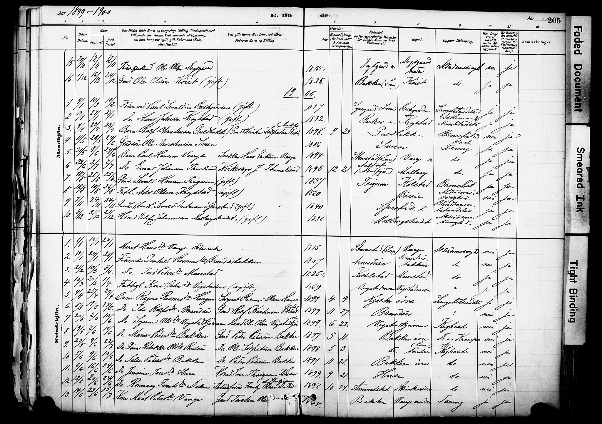 Skjåk prestekontor, SAH/PREST-072/H/Ha/Haa/L0003: Parish register (official) no. 3, 1880-1907, p. 205