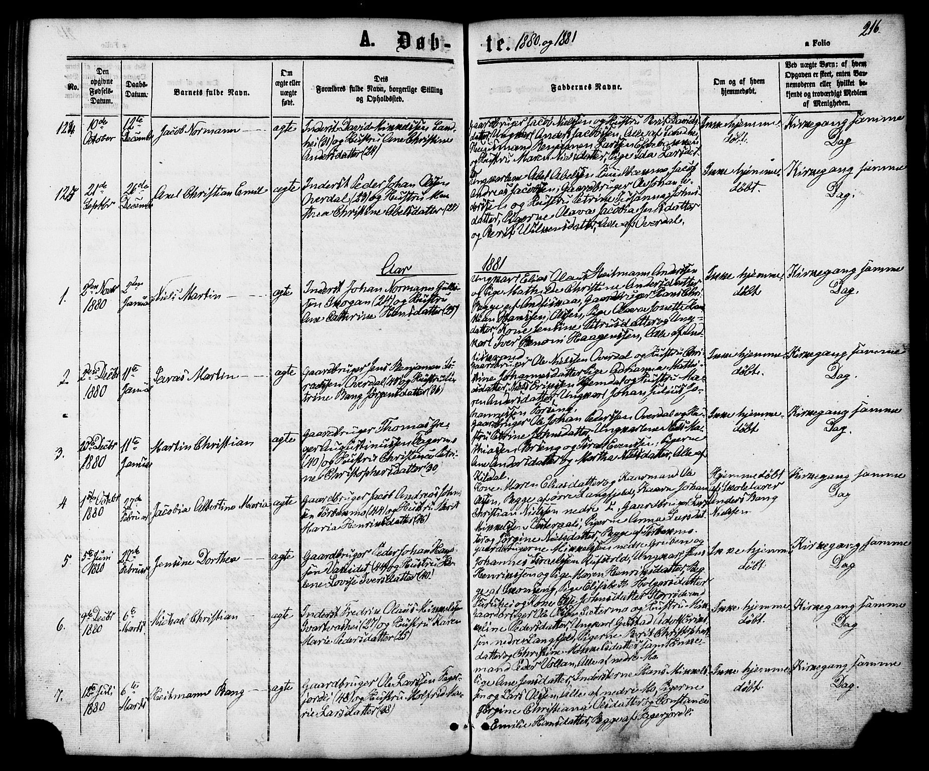 Ministerialprotokoller, klokkerbøker og fødselsregistre - Nordland, SAT/A-1459/827/L0393: Parish register (official) no. 827A05, 1863-1883, p. 216