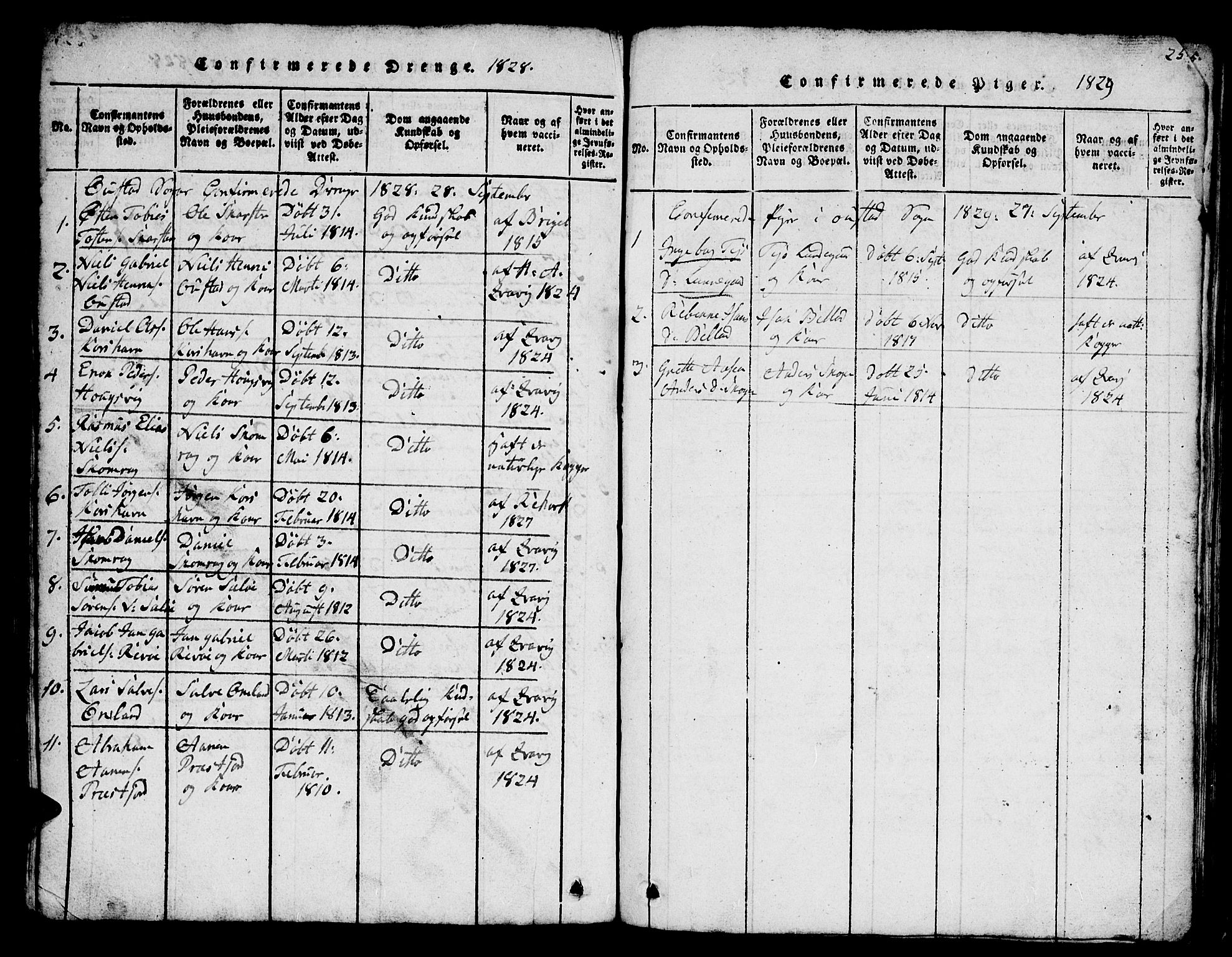 Lyngdal sokneprestkontor, SAK/1111-0029/F/Fb/Fba/L0001: Parish register (copy) no. B 1, 1816-1876, p. 254