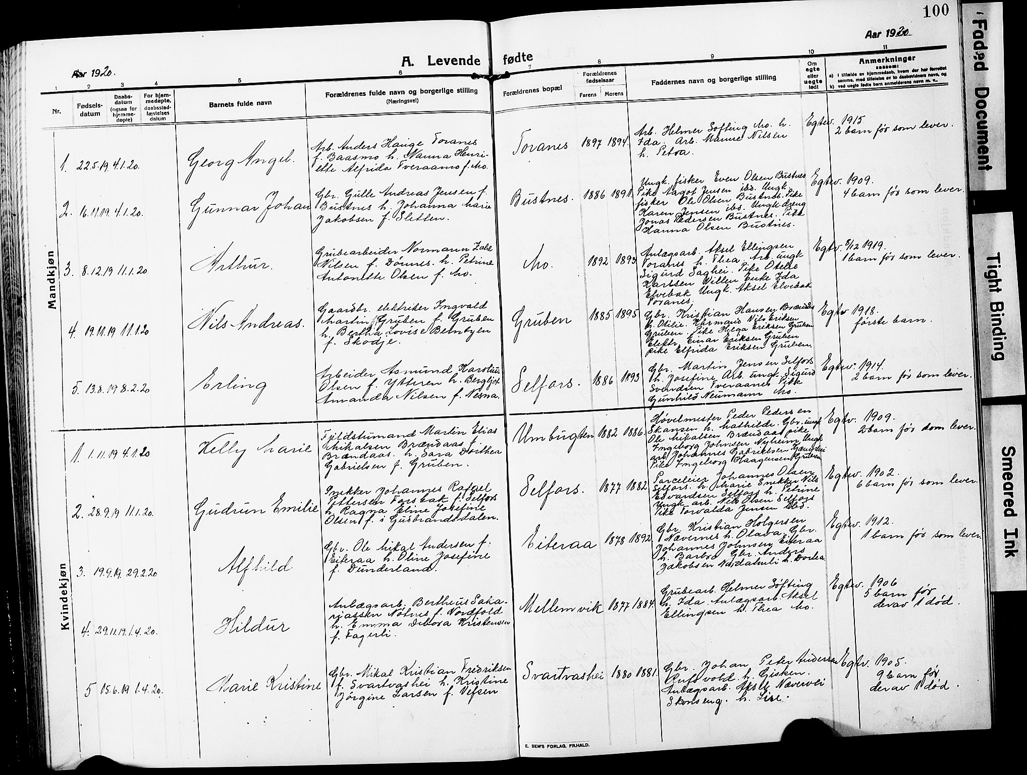 Ministerialprotokoller, klokkerbøker og fødselsregistre - Nordland, SAT/A-1459/827/L0423: Parish register (copy) no. 827C12, 1912-1930, p. 100