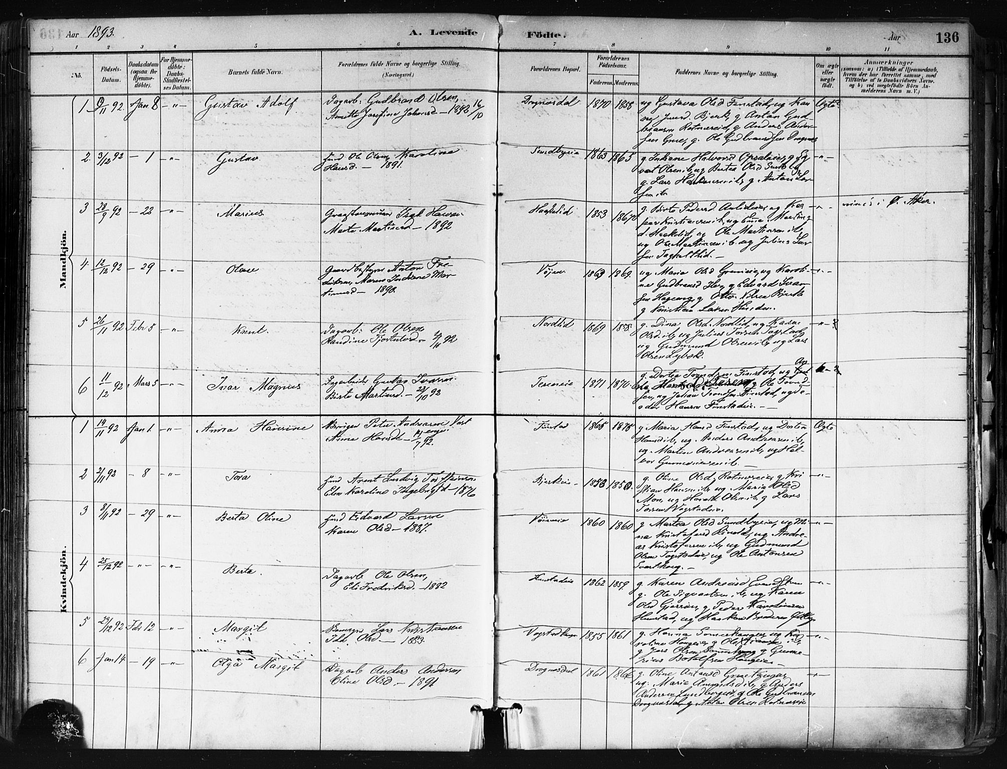 Nes prestekontor Kirkebøker, SAO/A-10410/F/Fa/L0010: Parish register (official) no. I 10, 1883-1898, p. 136