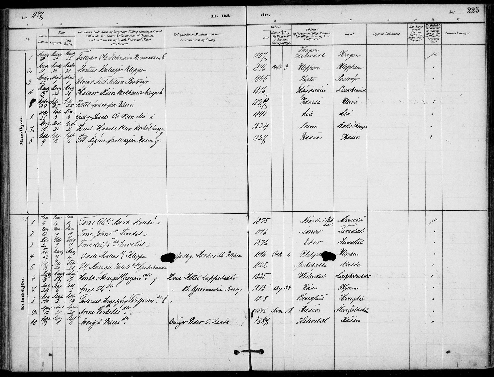 Hjartdal kirkebøker, SAKO/A-270/F/Fb/L0002: Parish register (official) no. II 2, 1880-1932, p. 225