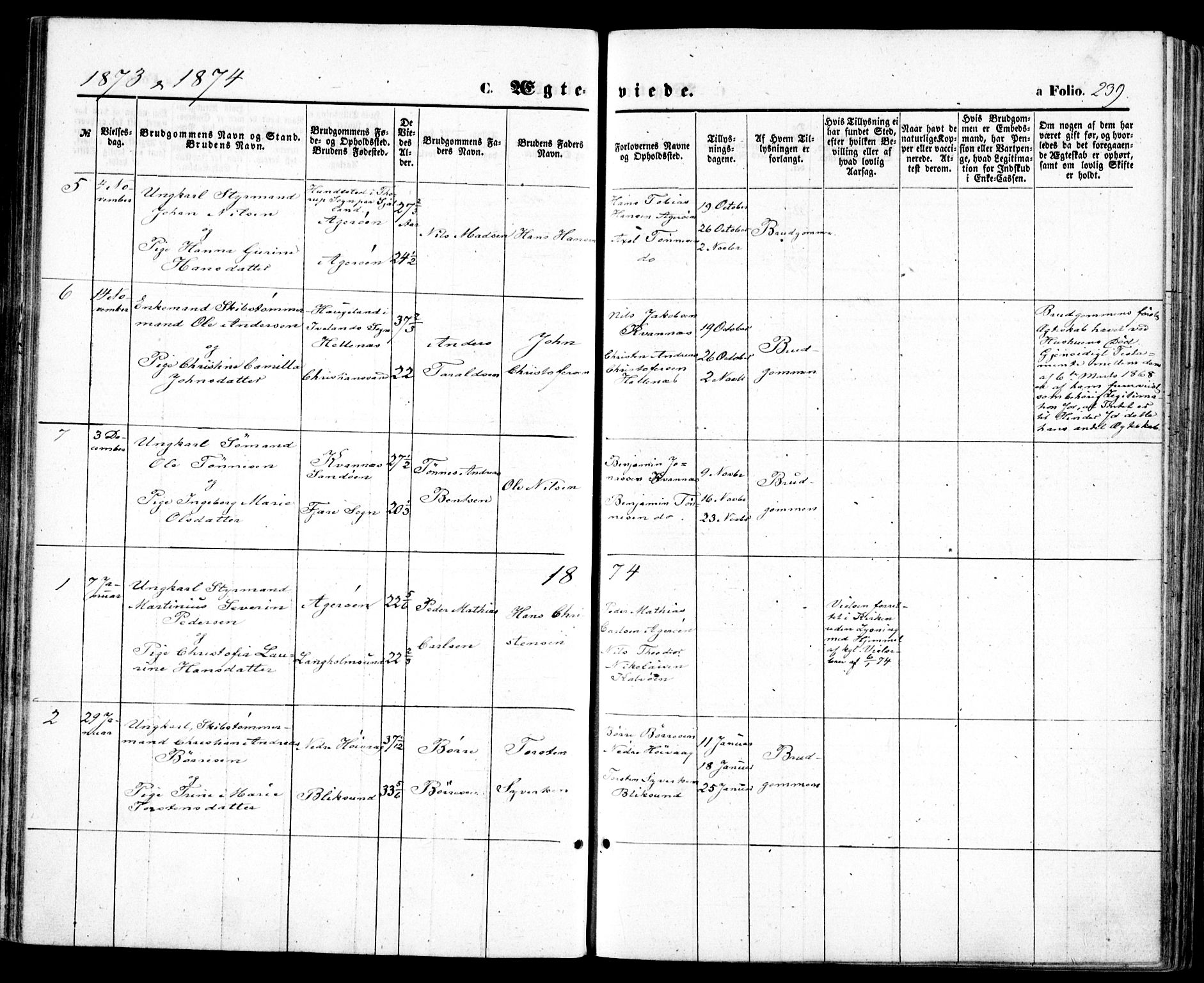 Høvåg sokneprestkontor, SAK/1111-0025/F/Fa/L0004: Parish register (official) no. A 4, 1859-1877, p. 239