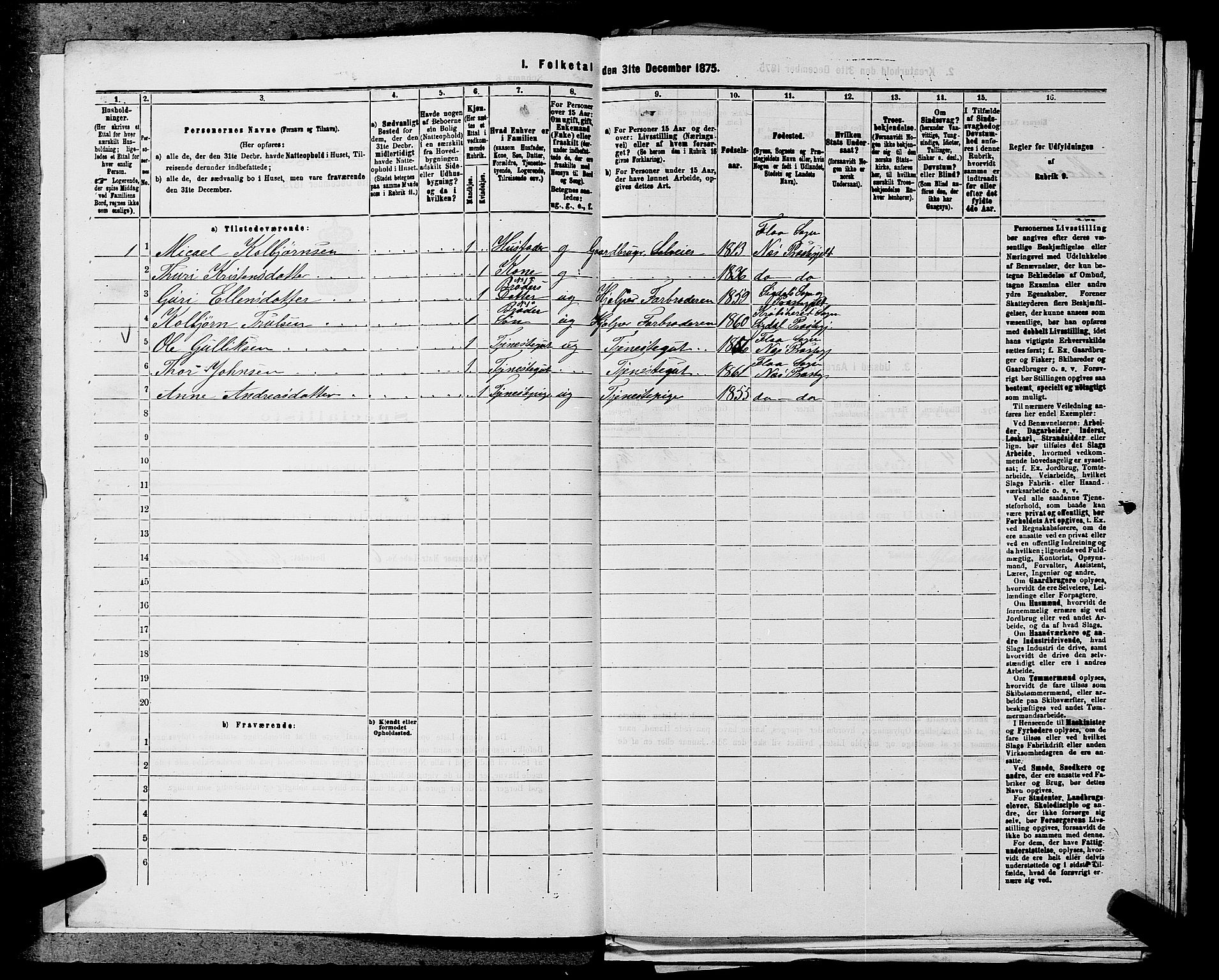 SAKO, 1875 census for 0616P Nes, 1875, p. 1419