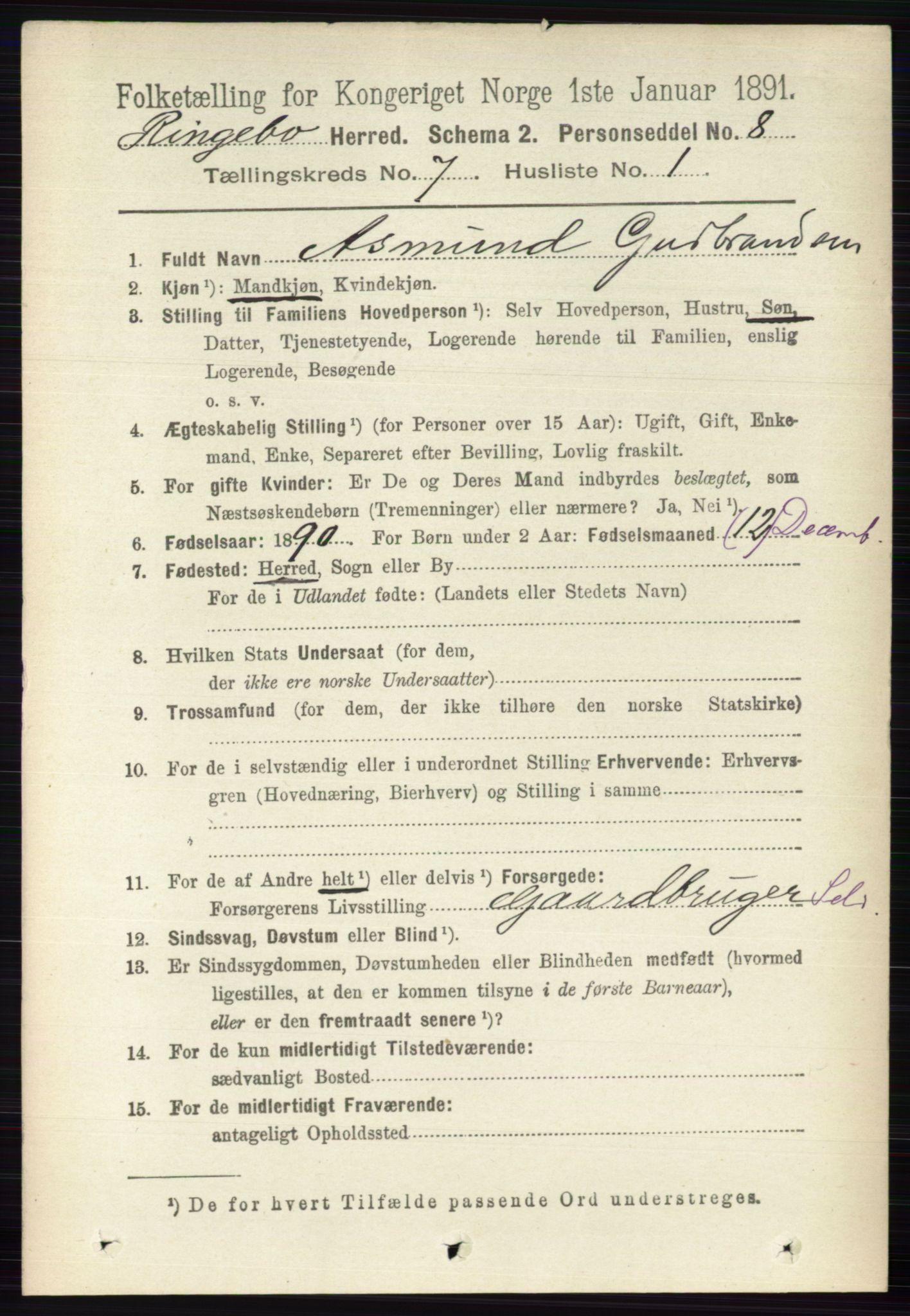 RA, 1891 census for 0520 Ringebu, 1891, p. 3042