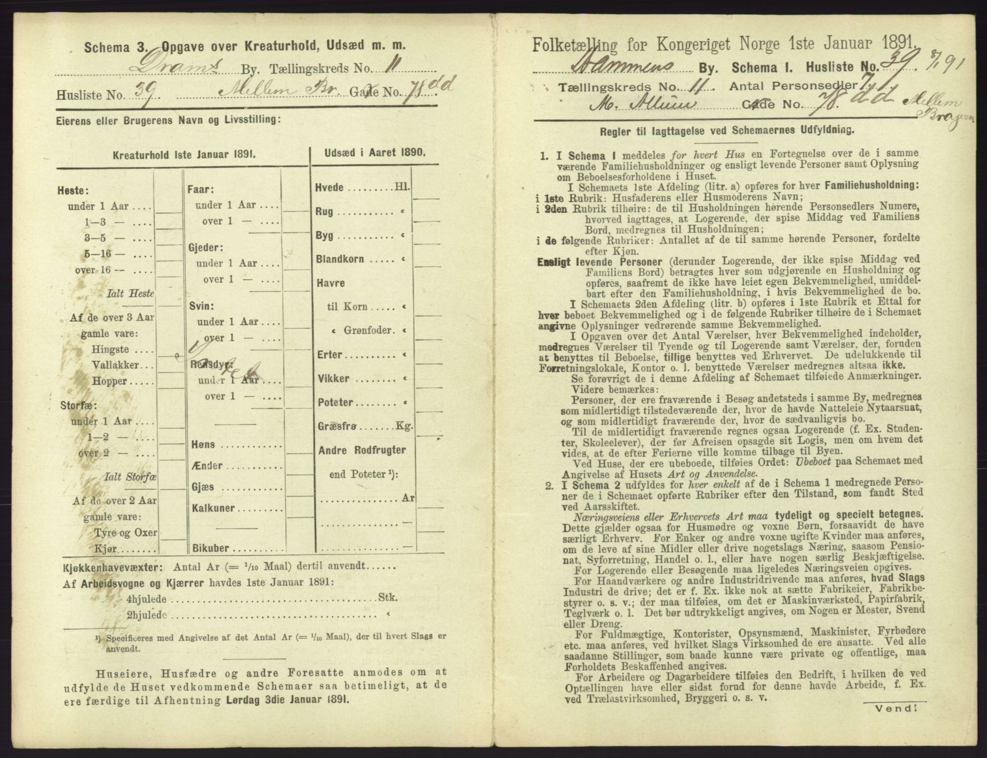 RA, 1891 census for 0602 Drammen, 1891, p. 985