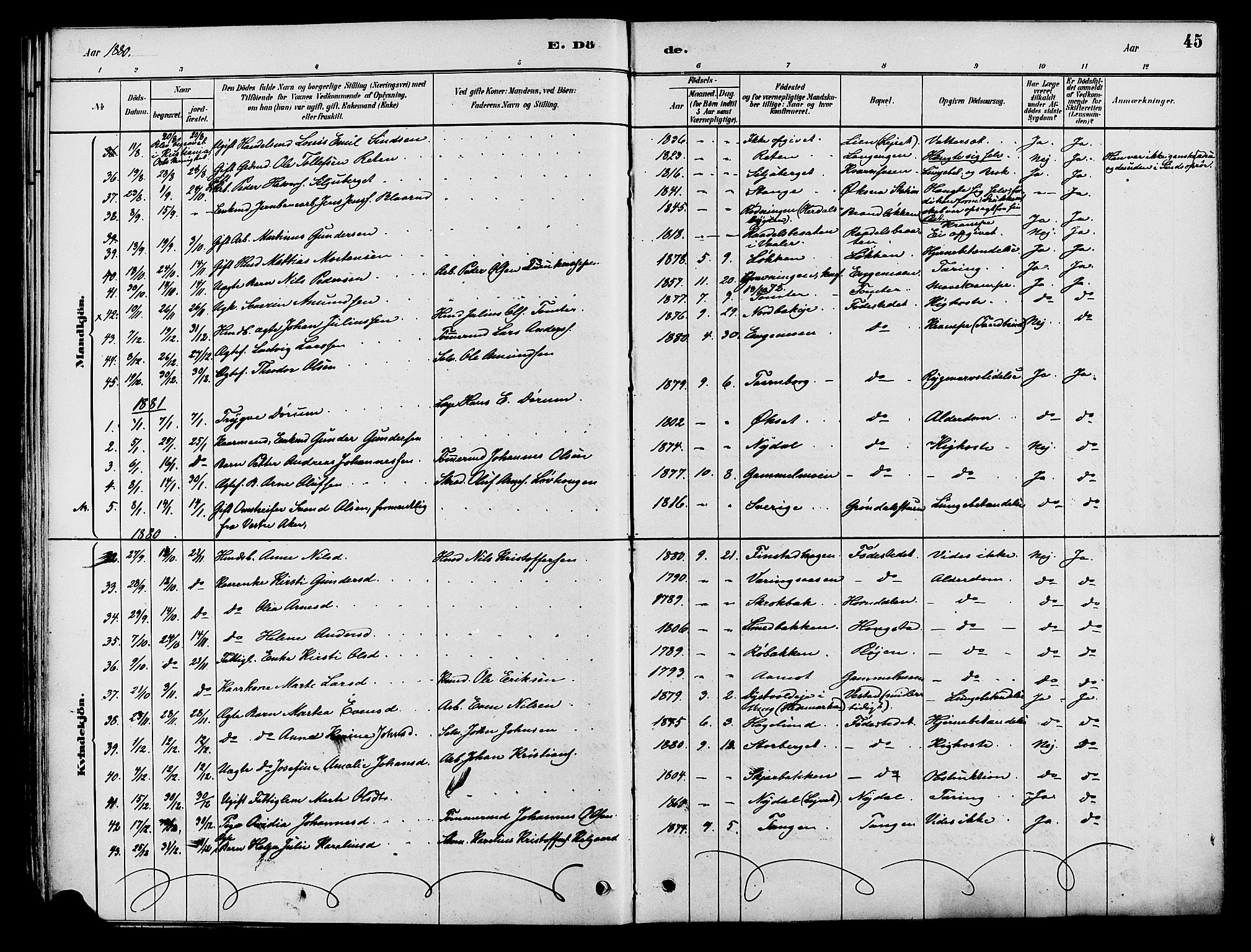 Elverum prestekontor, AV/SAH-PREST-044/H/Ha/Haa/L0012: Parish register (official) no. 12, 1880-1893, p. 45