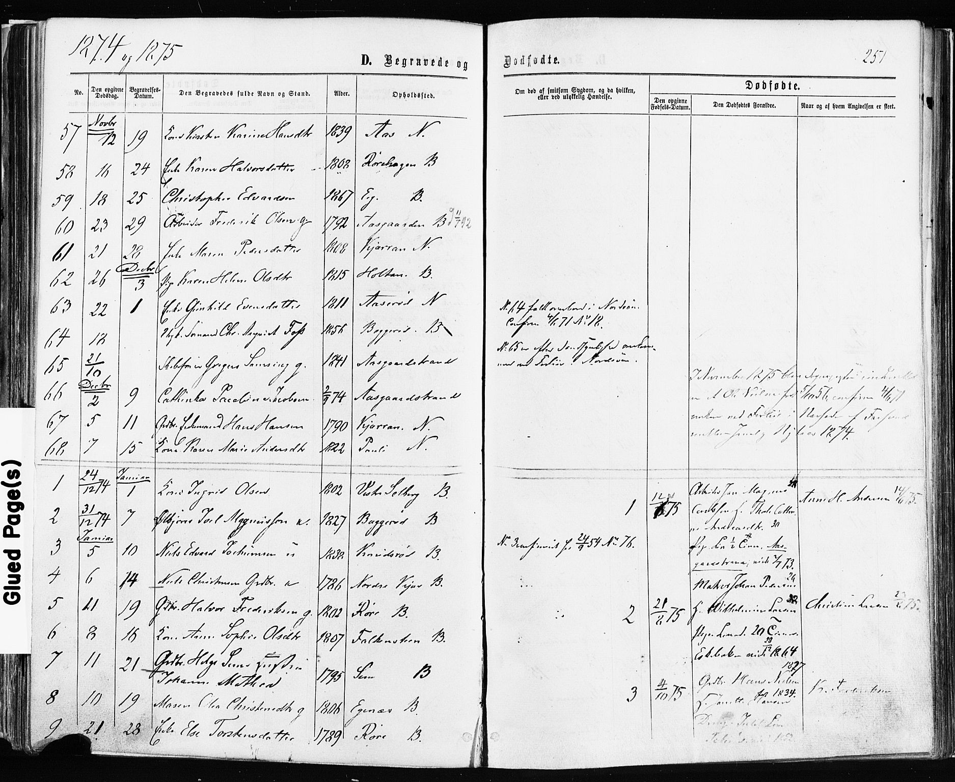 Borre kirkebøker, SAKO/A-338/F/Fa/L0008: Parish register (official) no. I 8, 1868-1877, p. 251