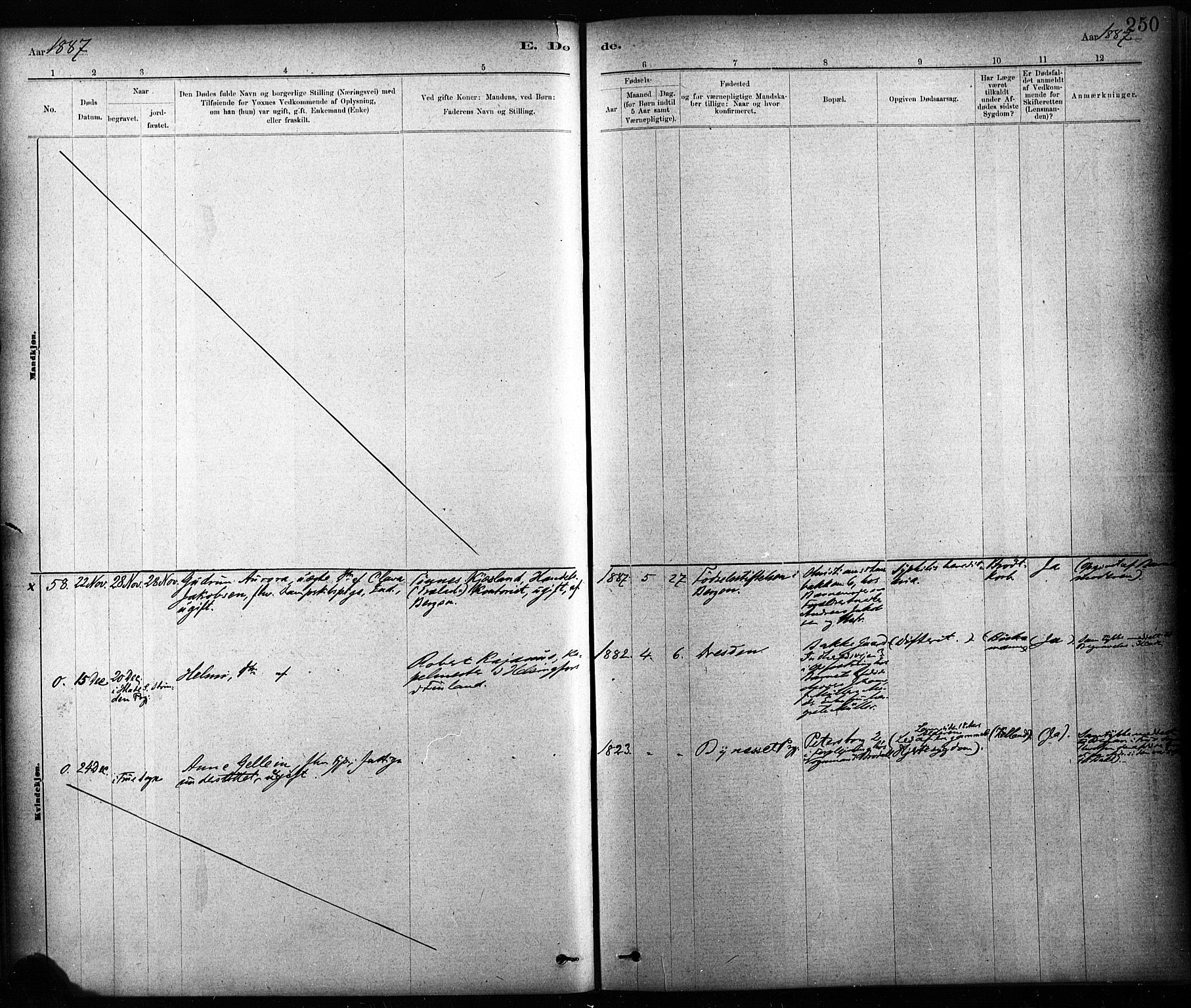 Ministerialprotokoller, klokkerbøker og fødselsregistre - Sør-Trøndelag, SAT/A-1456/604/L0189: Parish register (official) no. 604A10, 1878-1892, p. 250