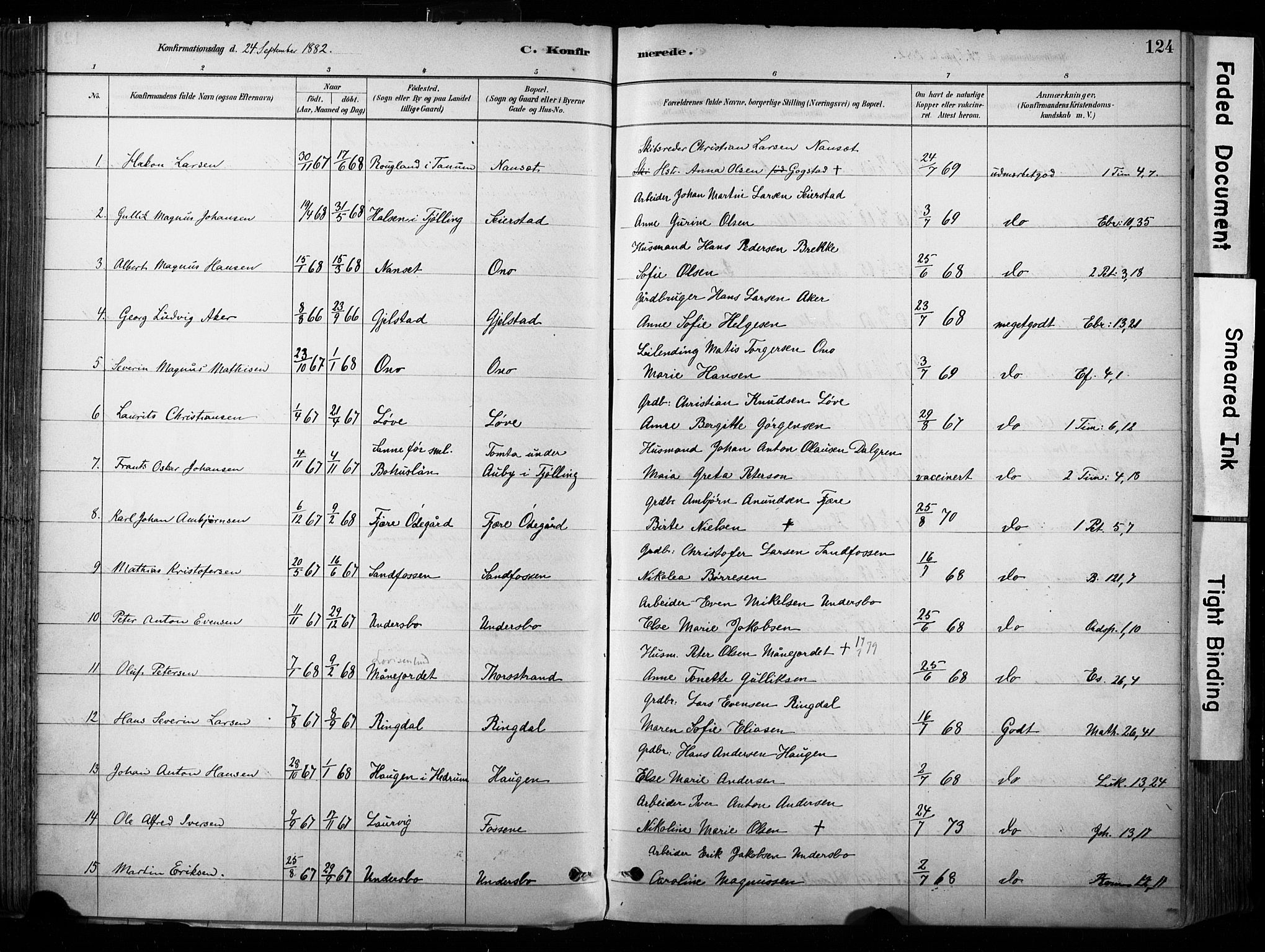 Hedrum kirkebøker, AV/SAKO-A-344/F/Fa/L0009: Parish register (official) no. I 9, 1881-1903, p. 124