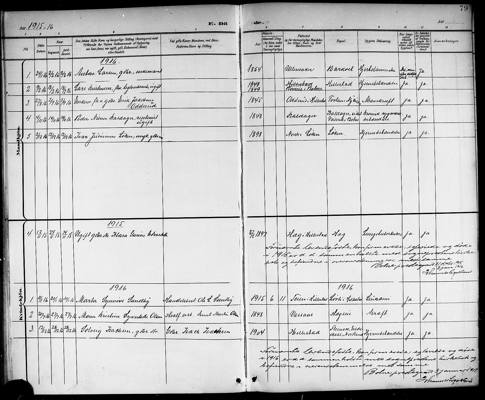 Botne kirkebøker, AV/SAKO-A-340/G/Gb/L0004: Parish register (copy) no. II 3, 1899-1917, p. 79