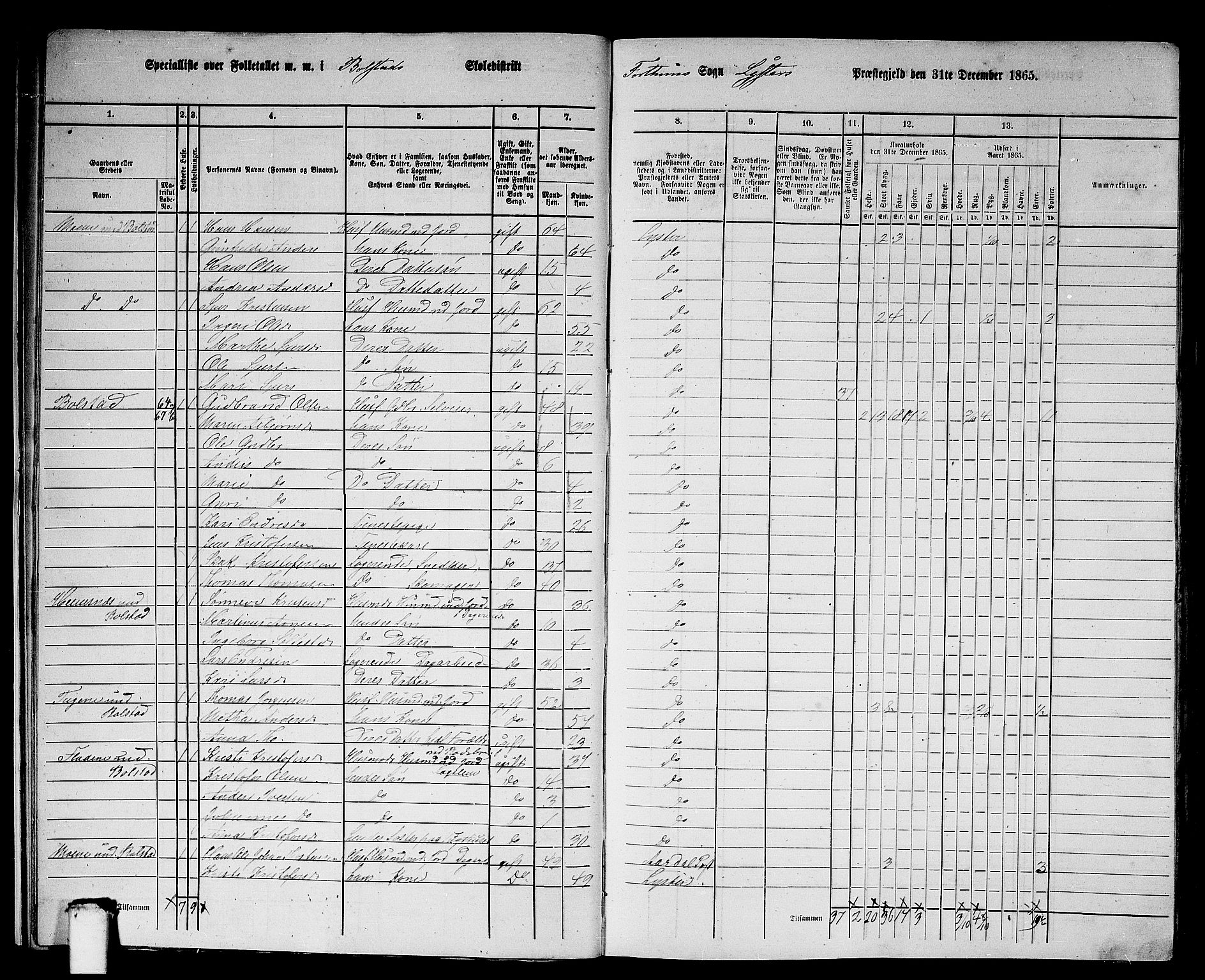 RA, 1865 census for Luster, 1865, p. 14