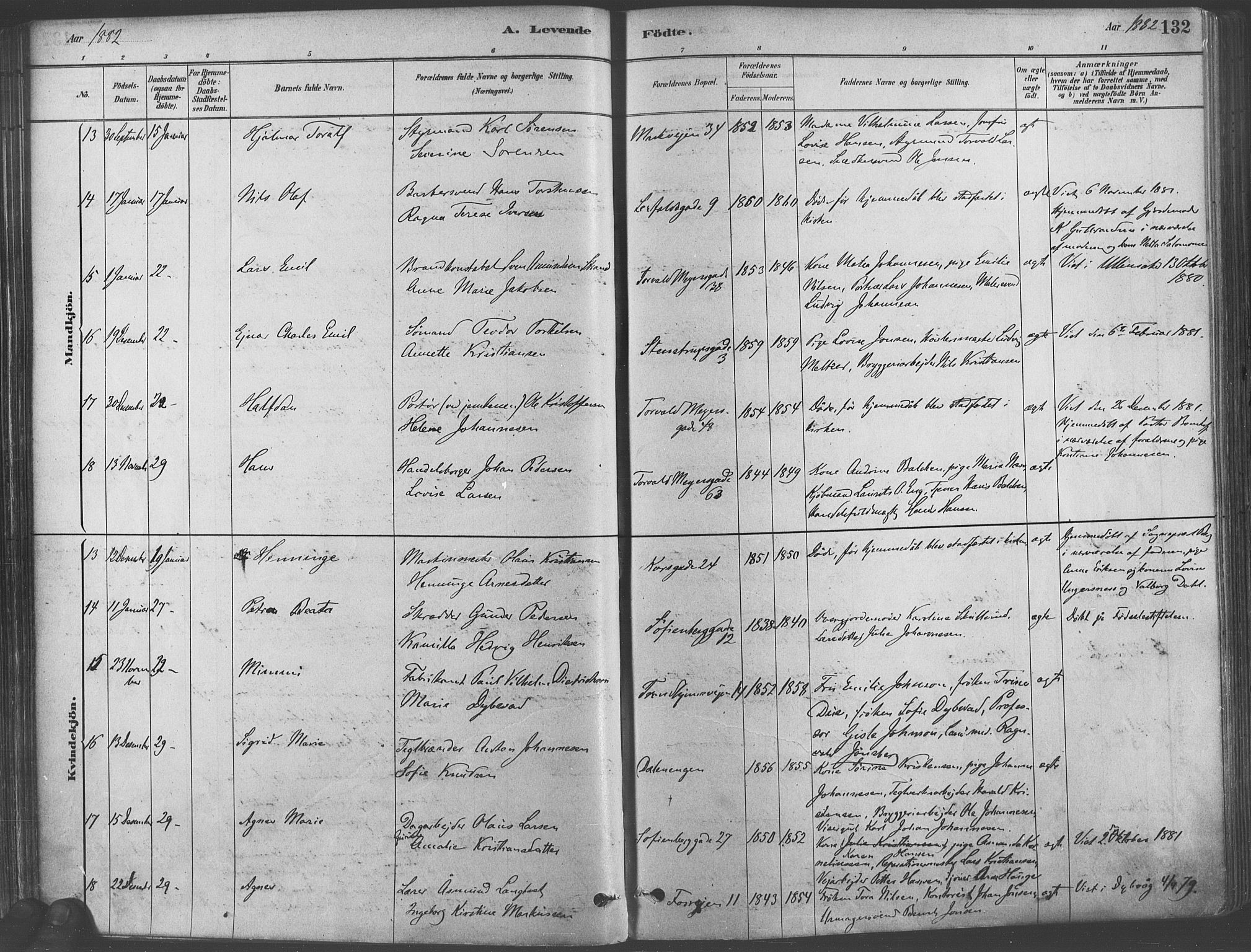 Paulus prestekontor Kirkebøker, AV/SAO-A-10871/F/Fa/L0003: Parish register (official) no. 3, 1879-1887, p. 132