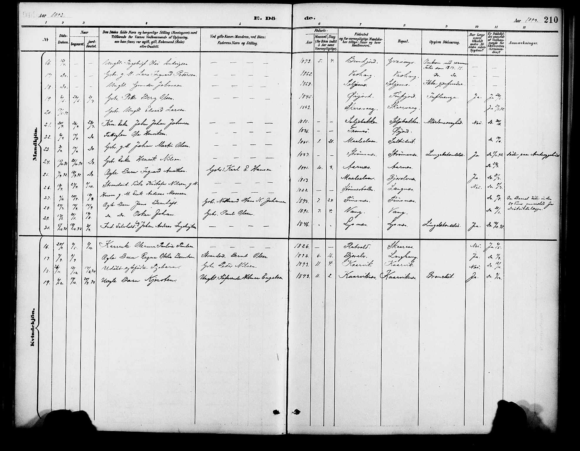 Lenvik sokneprestembete, SATØ/S-1310/H/Ha/Haa/L0013kirke: Parish register (official) no. 13, 1890-1898, p. 210